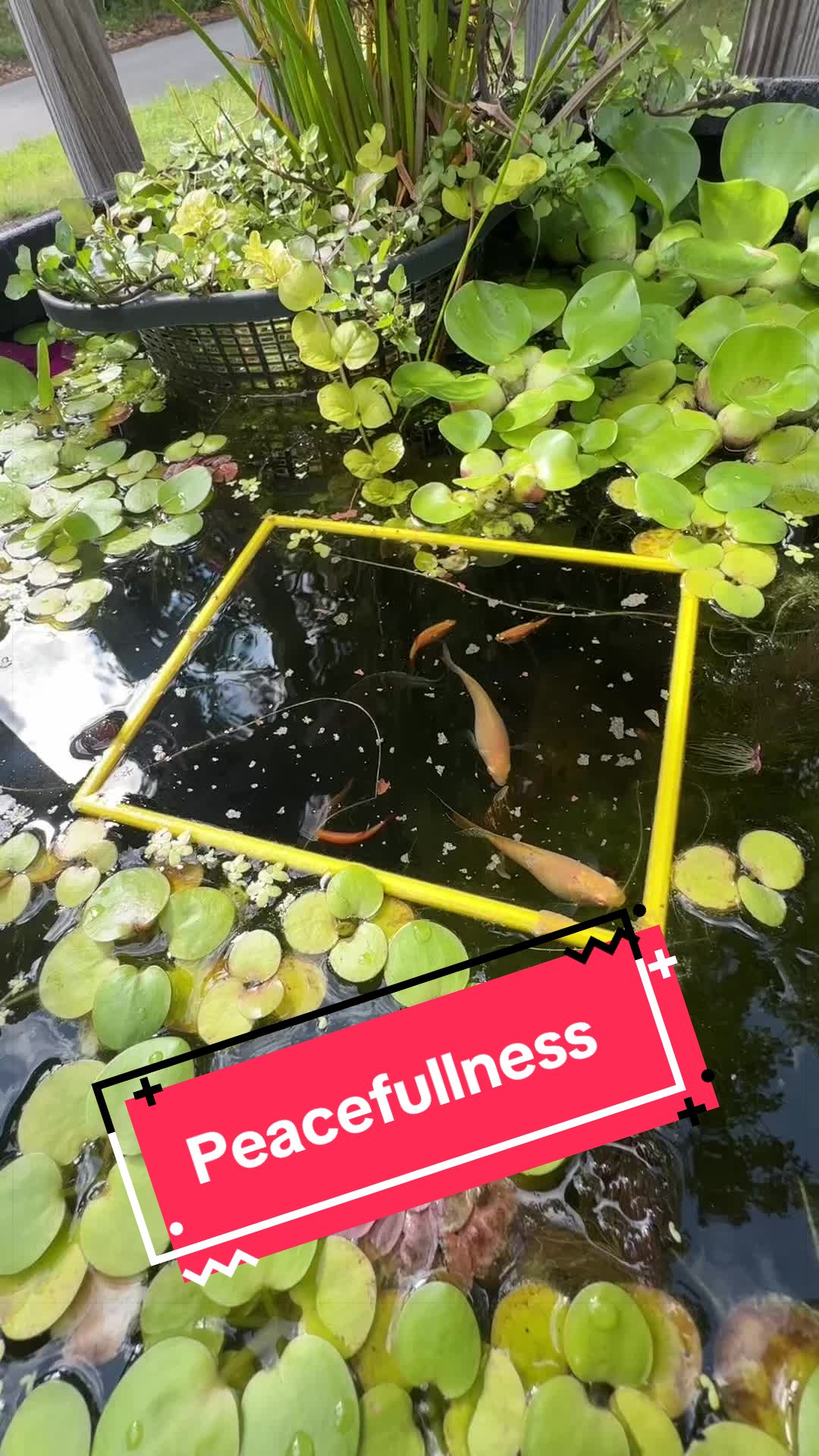 @Eric | Paganartguy