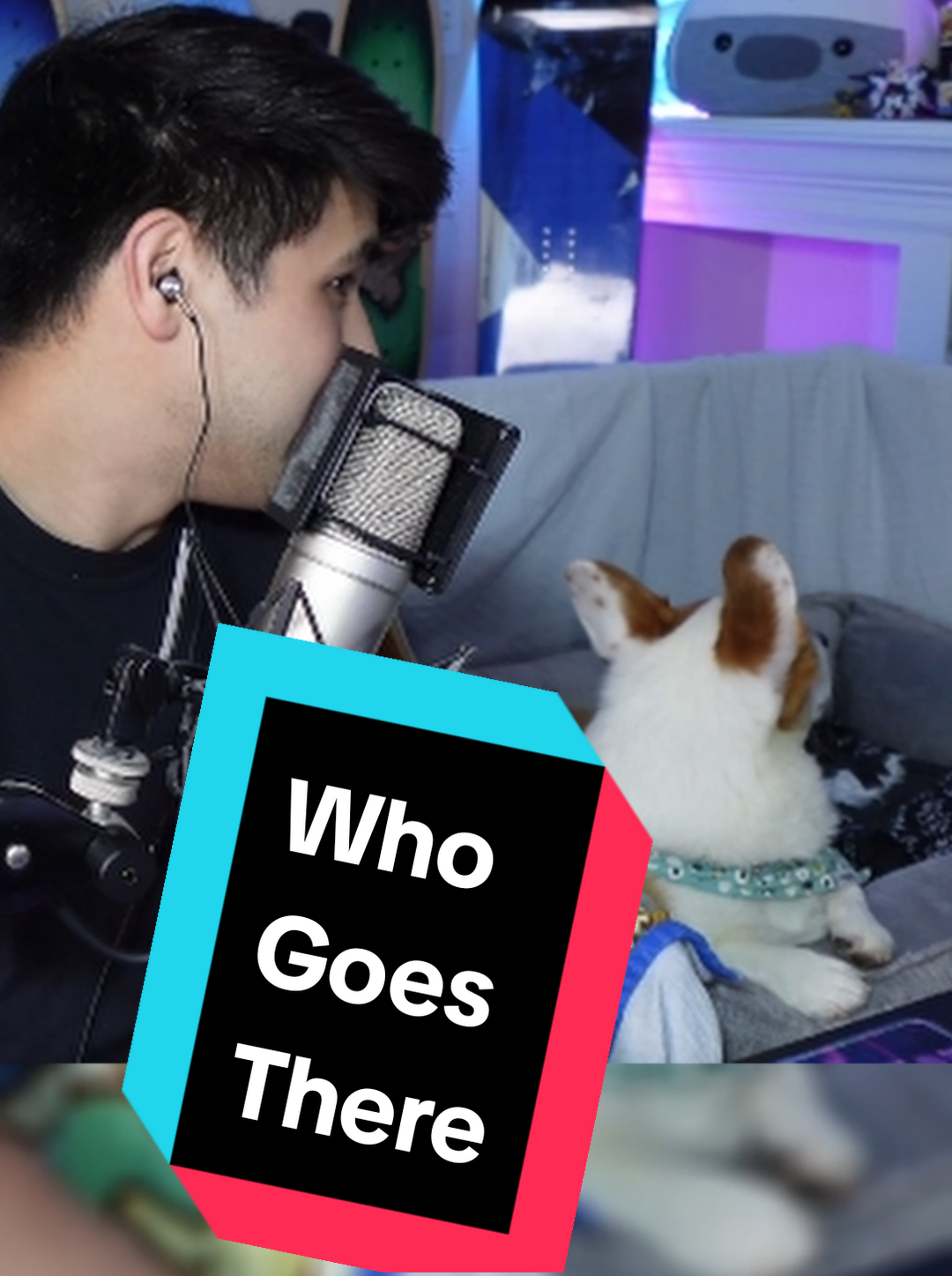 @Protocorg | Twitch Streamer