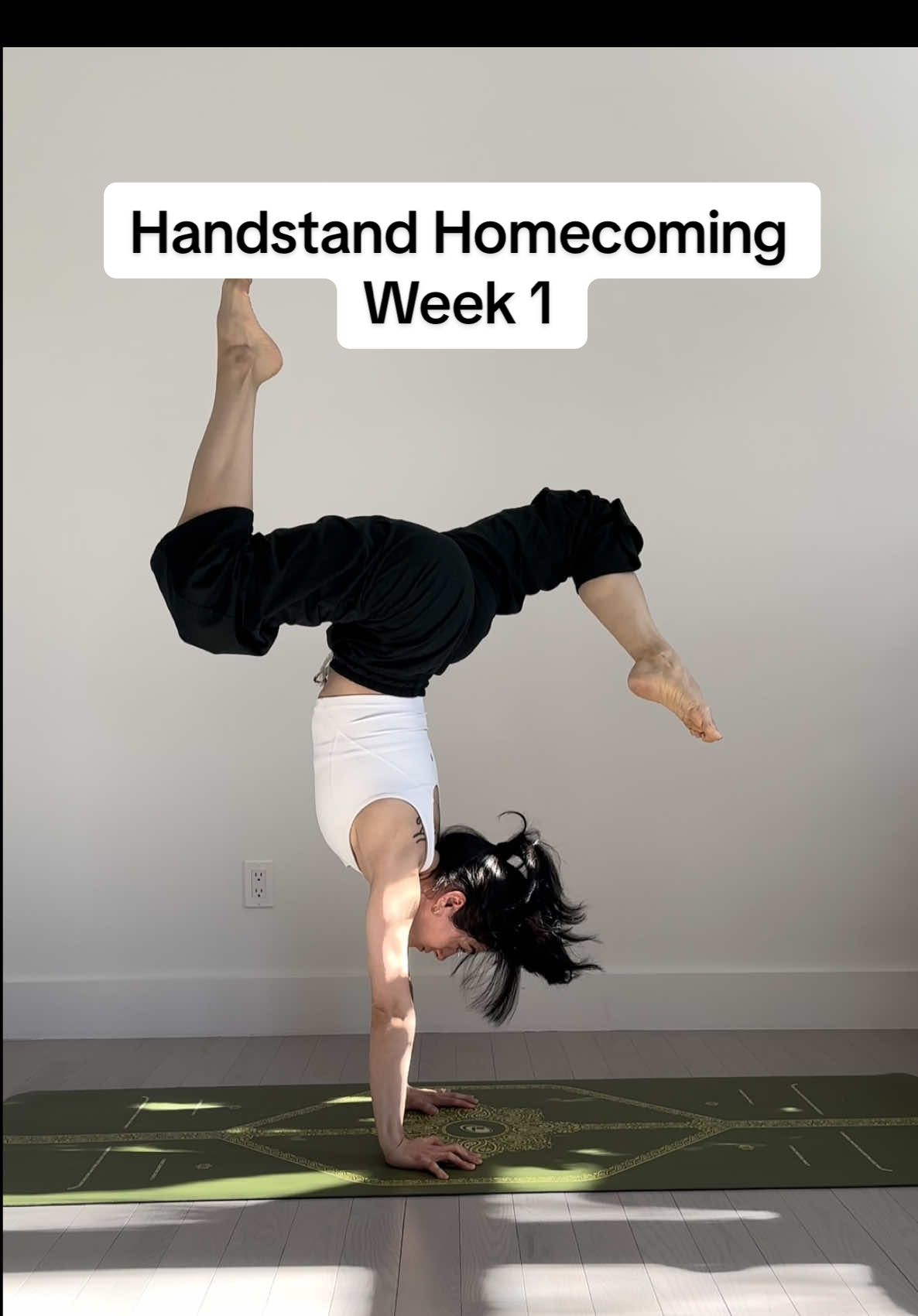 @linettemenaskan
