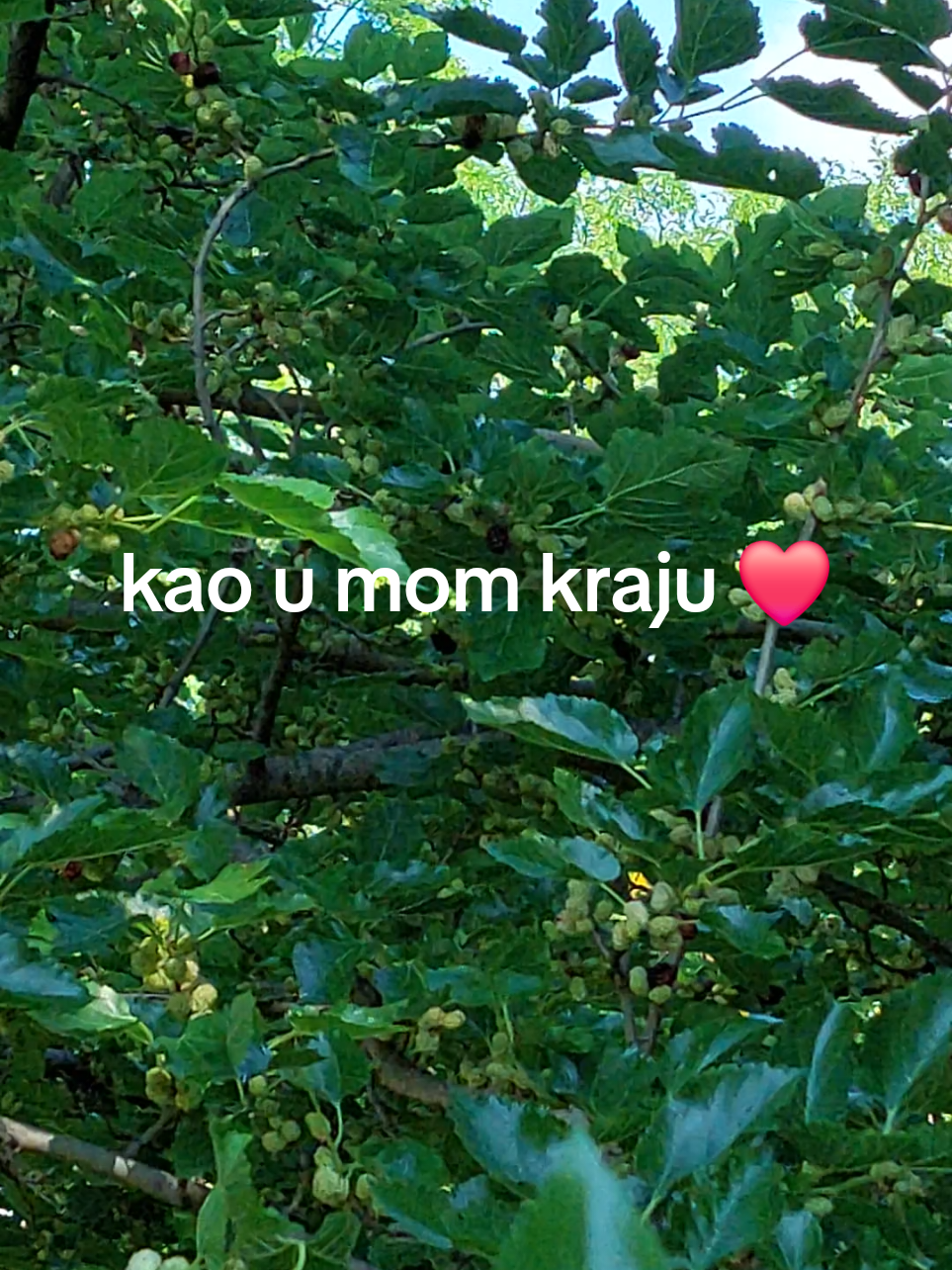 @Milena