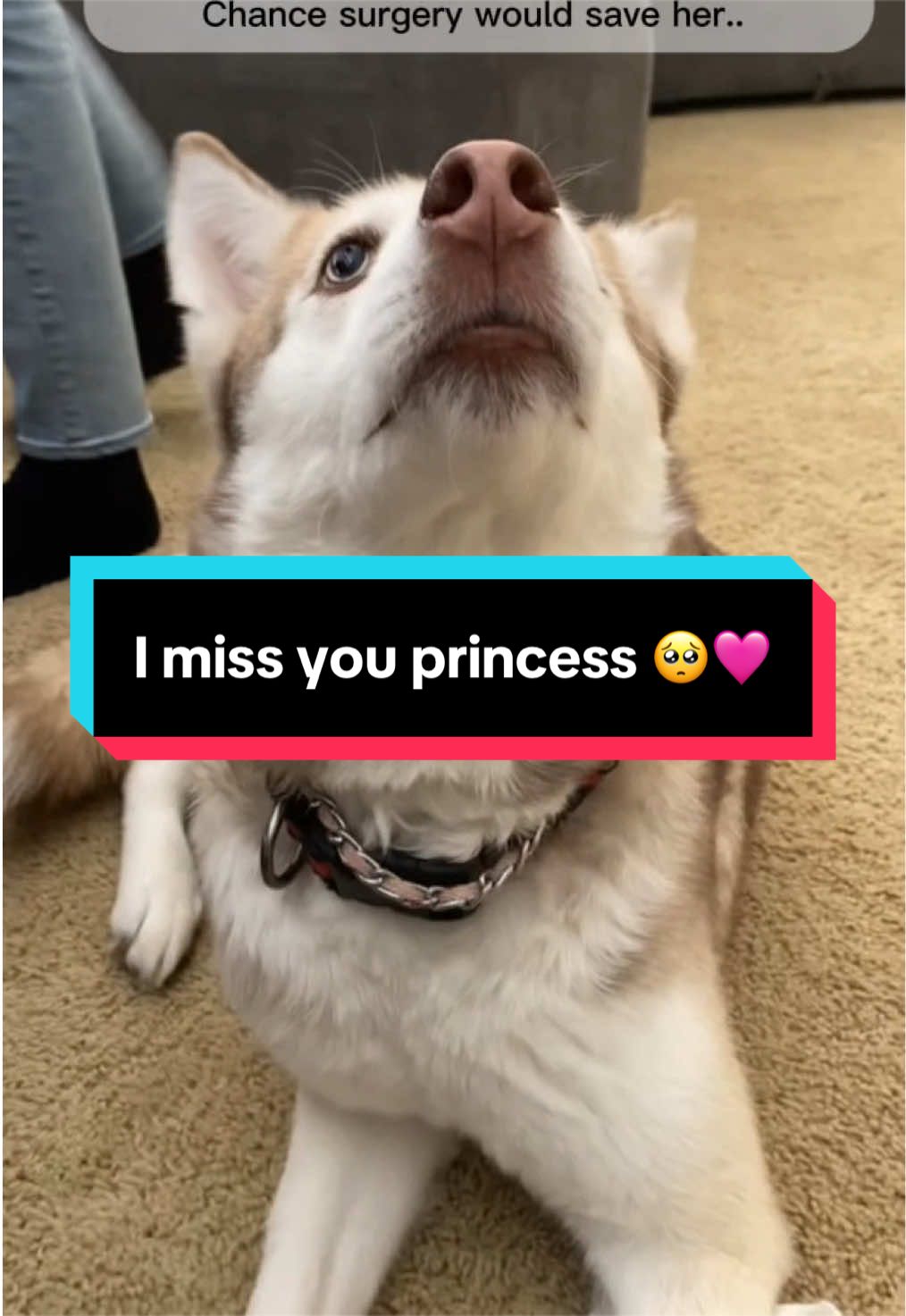 @Jeweled_trauma0619