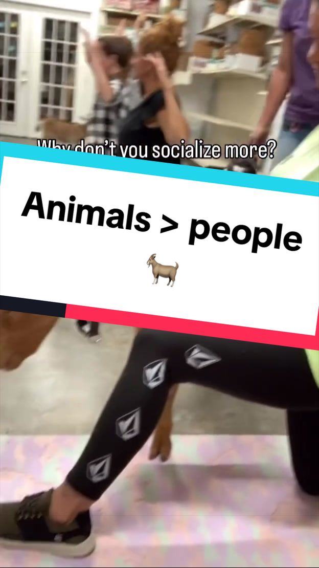 @Not Friendly Apparel