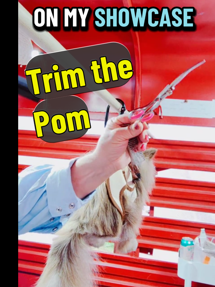 @Pompoochie