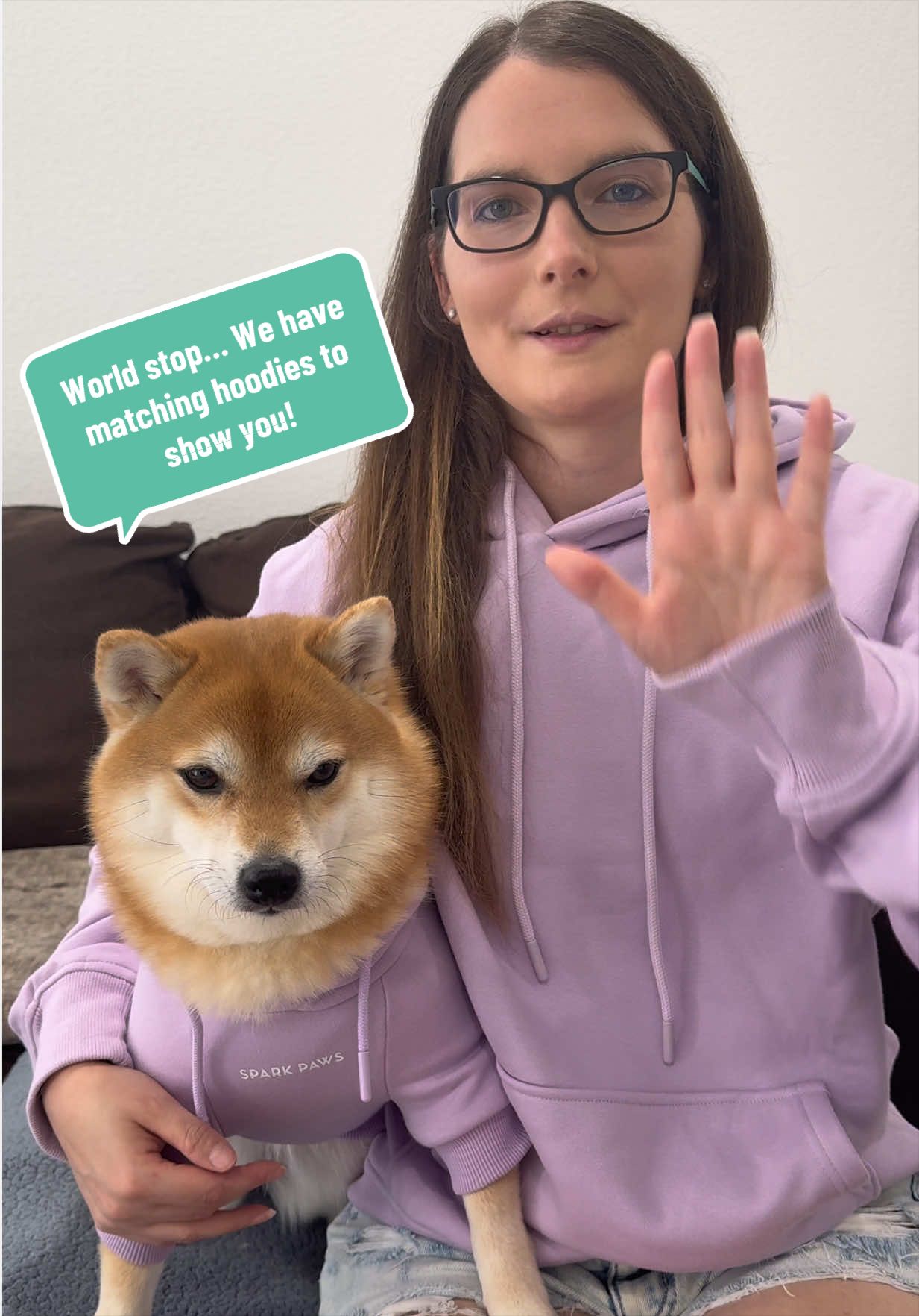 @Flock of Shibas 🐕🐕🐕