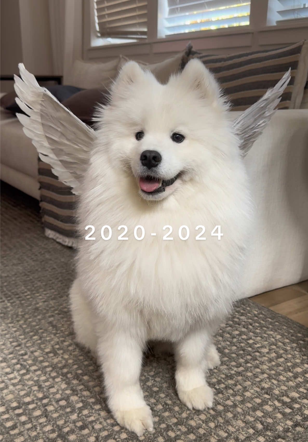 @Brenda &bull; WA Real Estate Agent