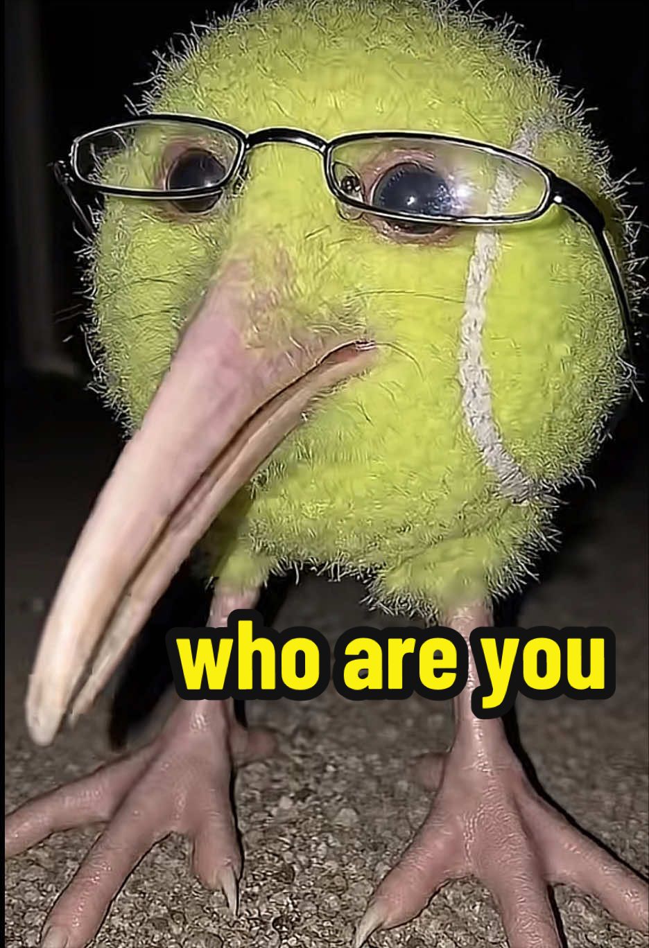 @bkdkcats