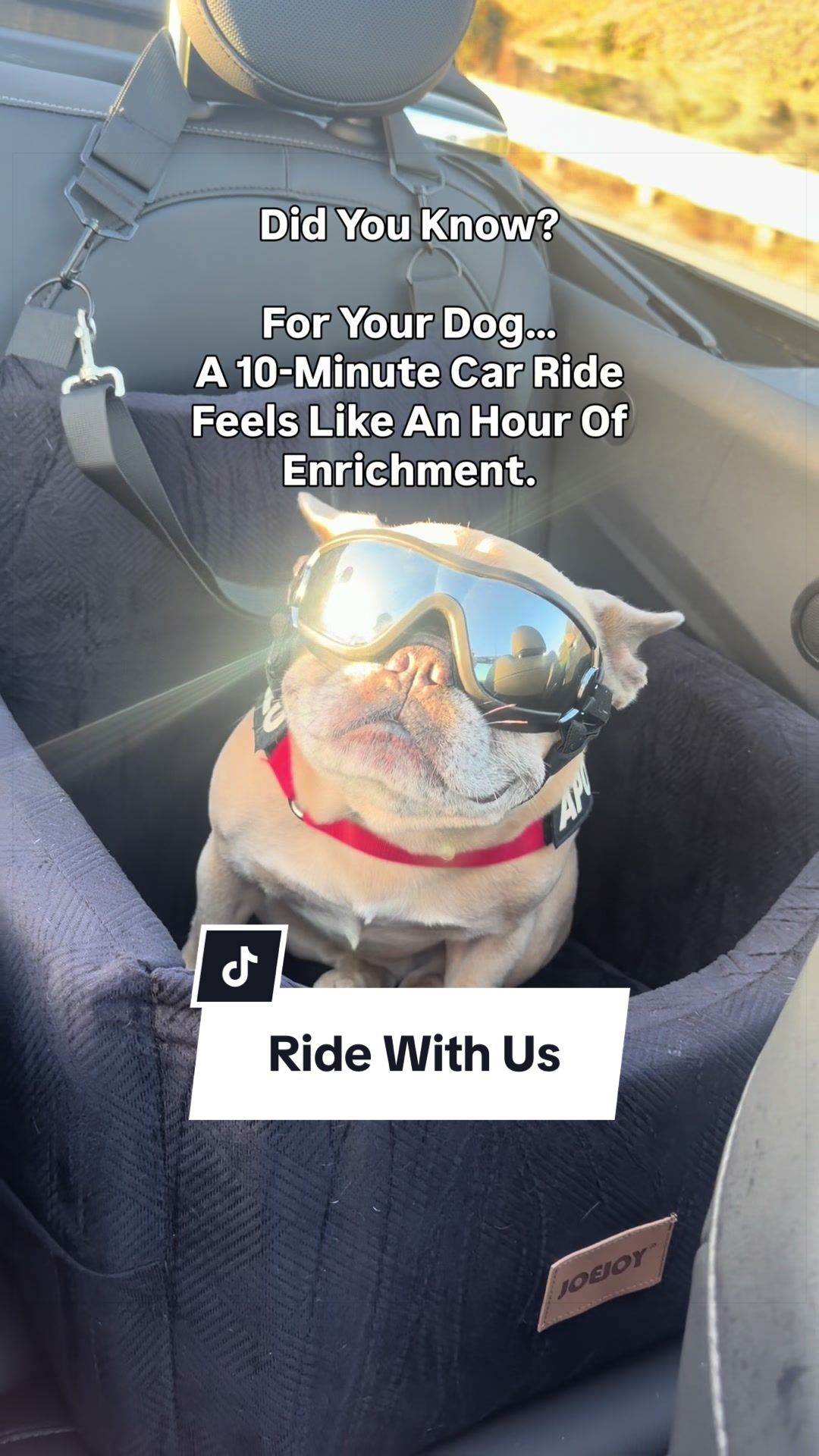 @Somefrenchienamedapollo