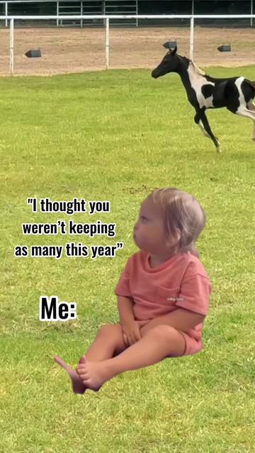 @Dr.Nicole-VetMed