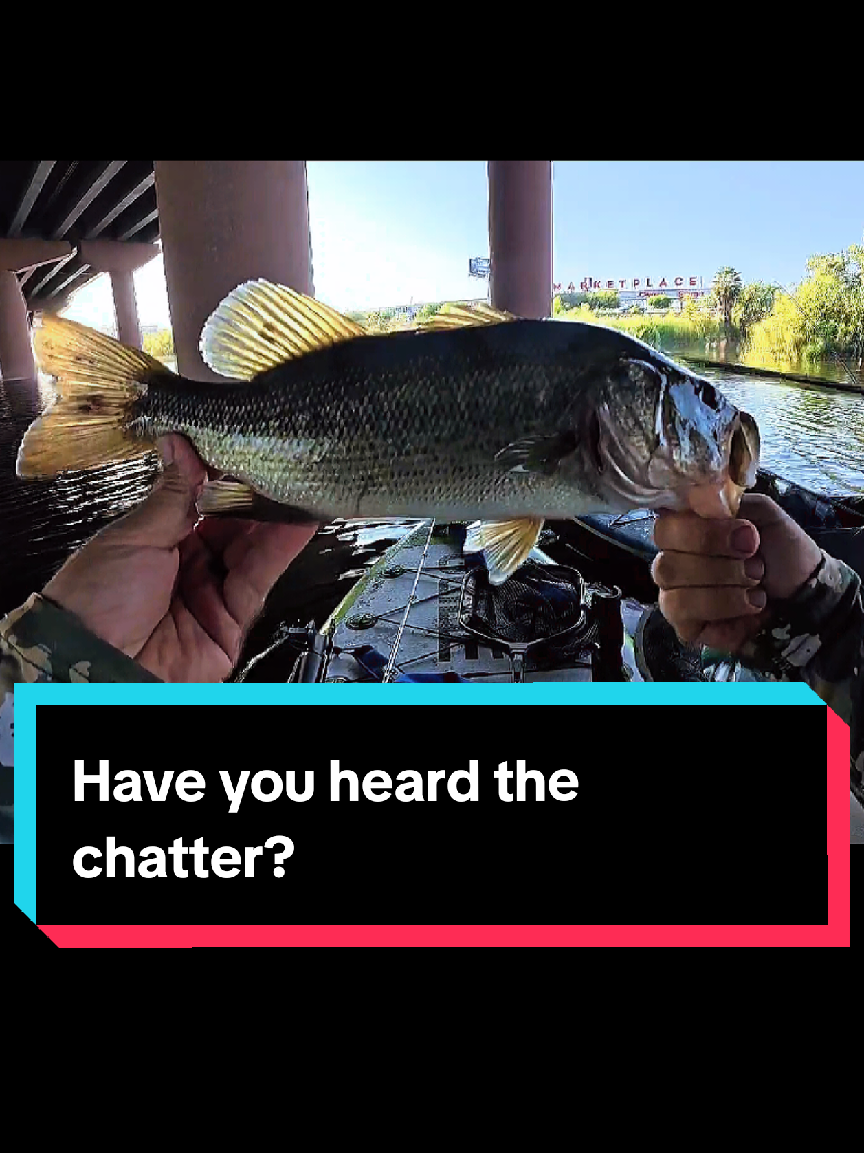 @SalmonInTheDesert