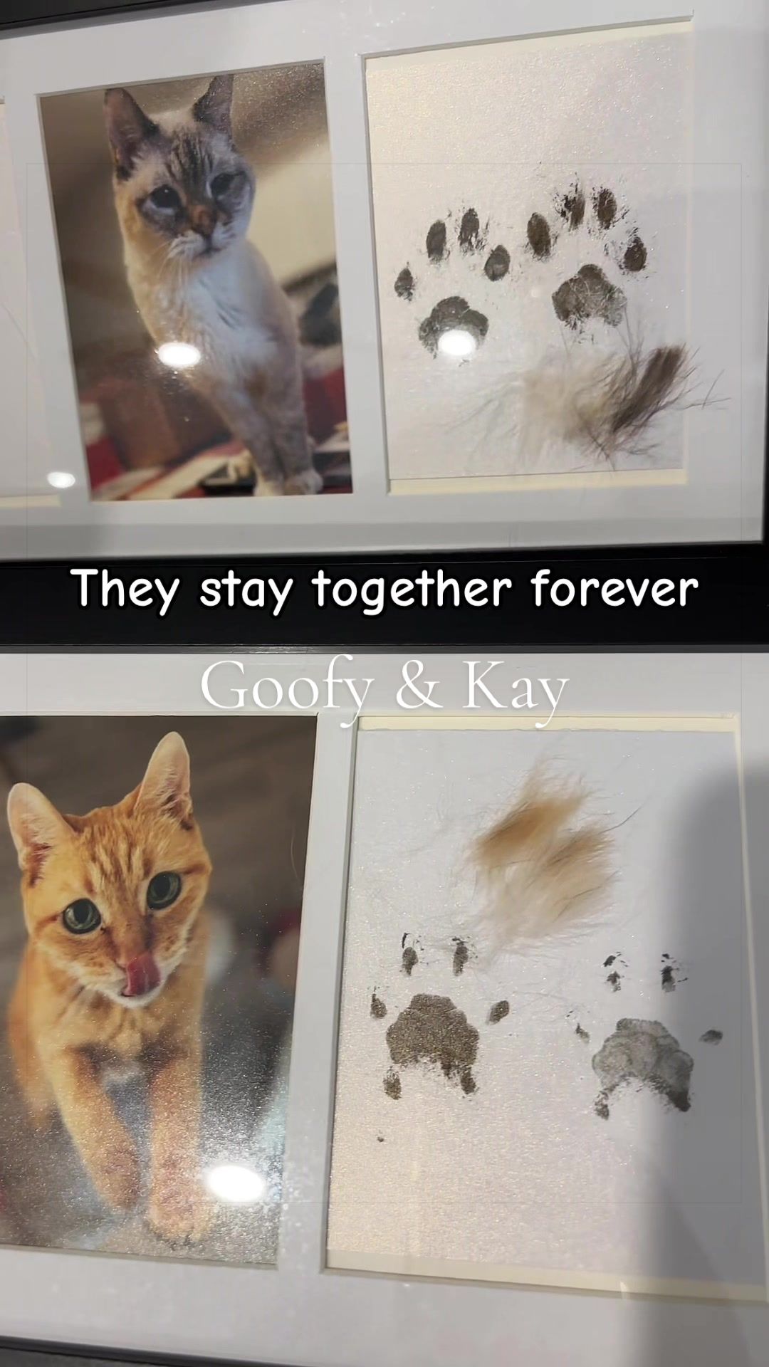 @Kay