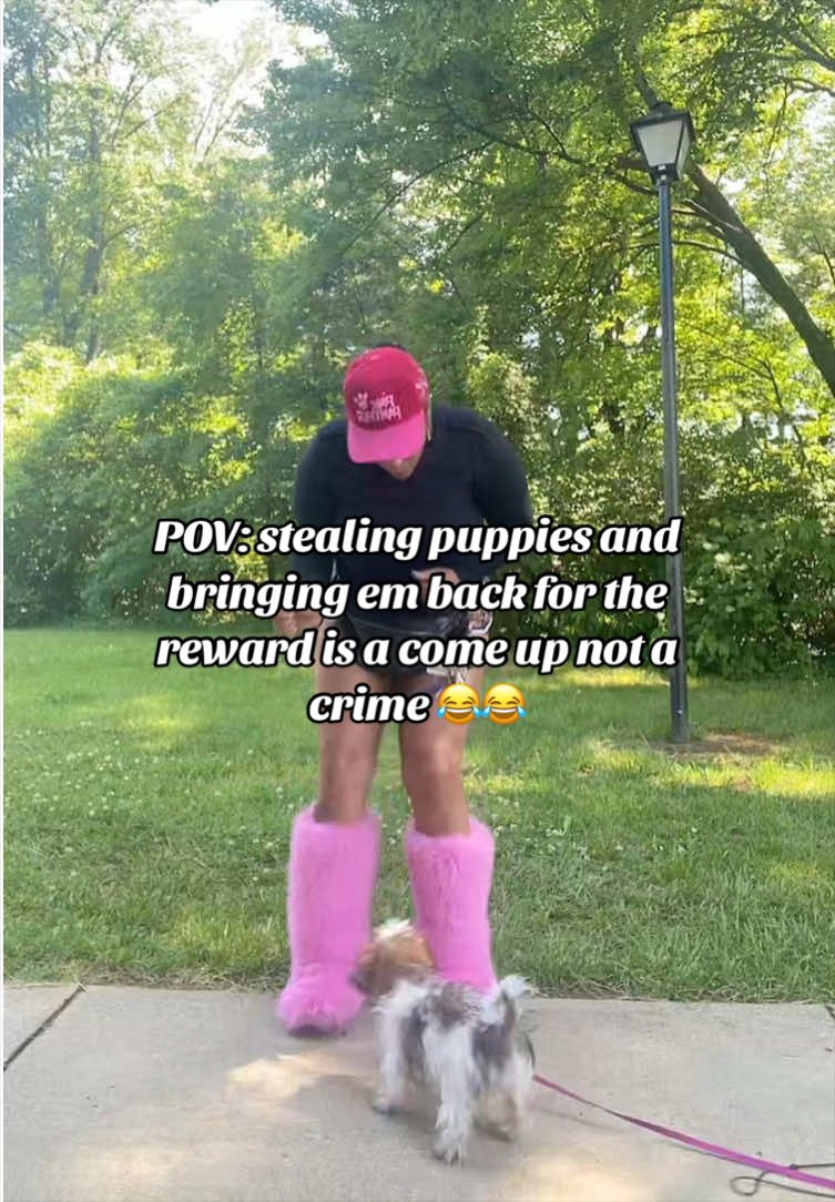 @CatEye Mimi