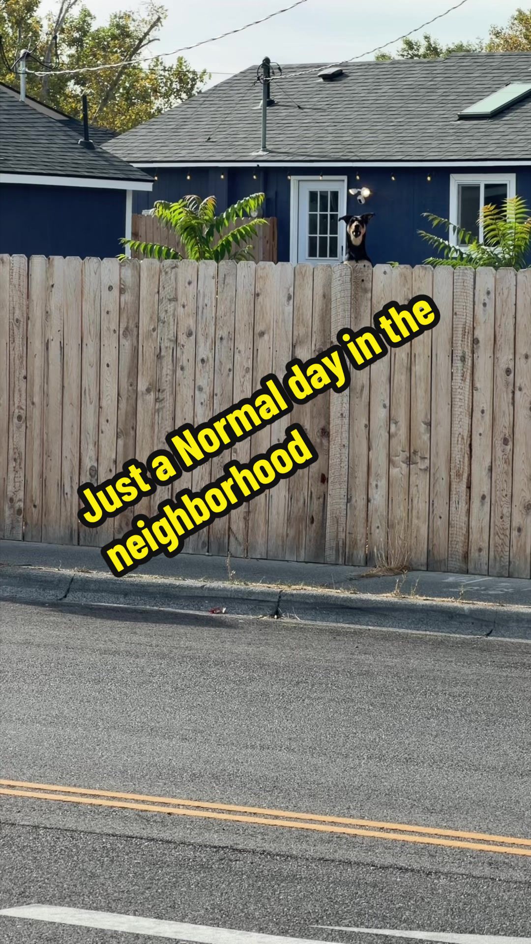 @Maria Huerta 🎤💕