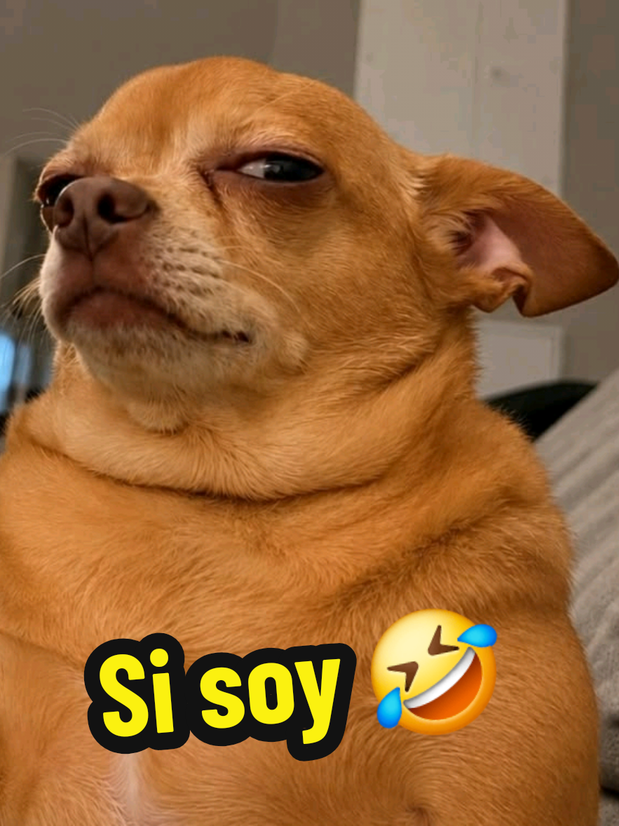 @Mi Rincón Favorito