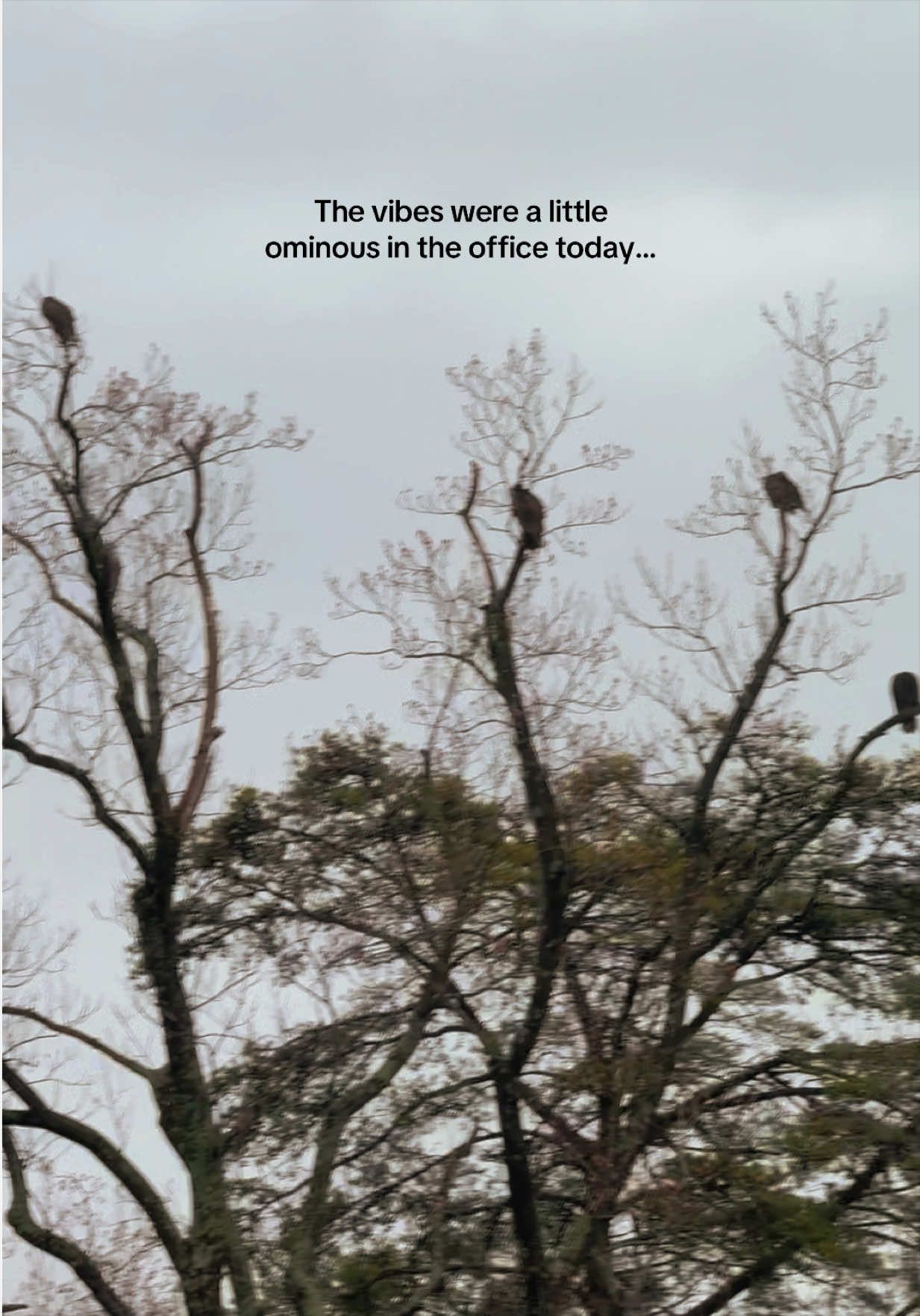 @Kierstin Young