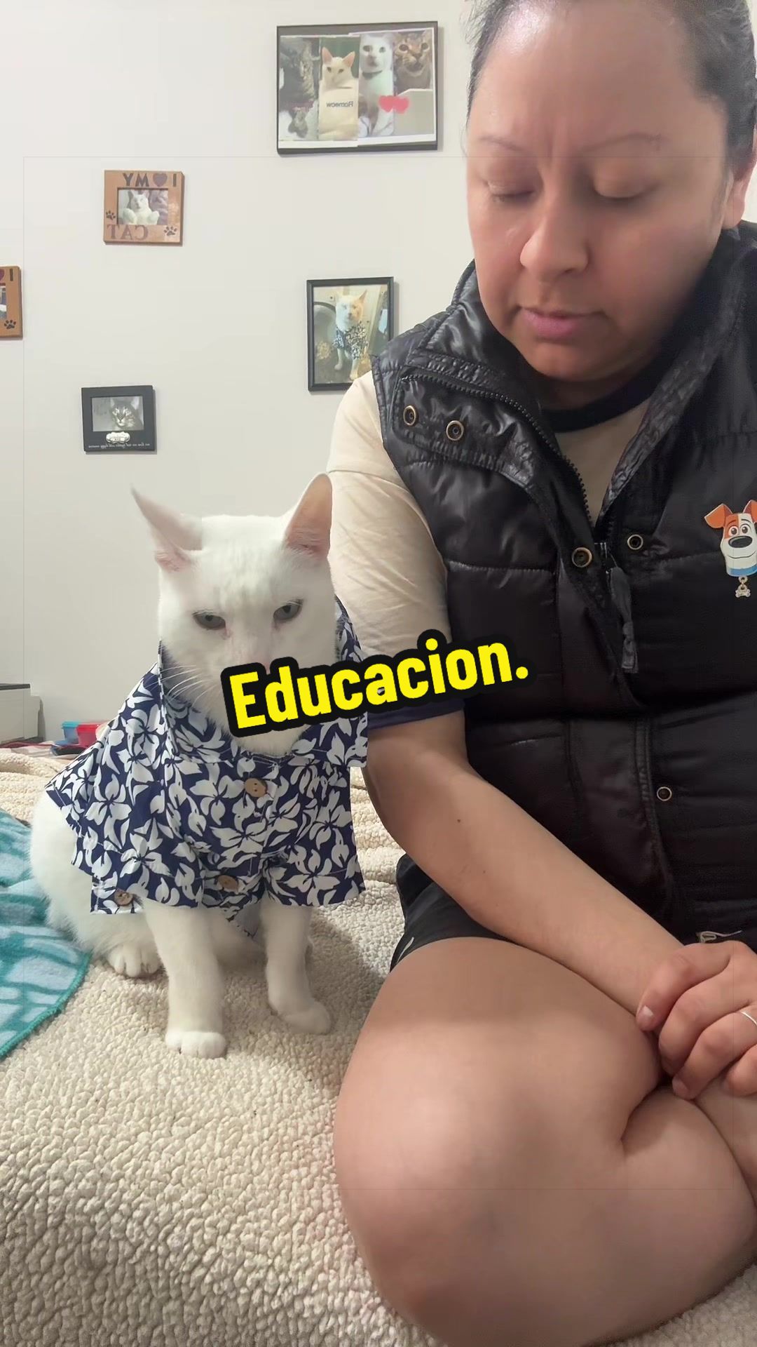 @🦖 MEOWassic CAT😺