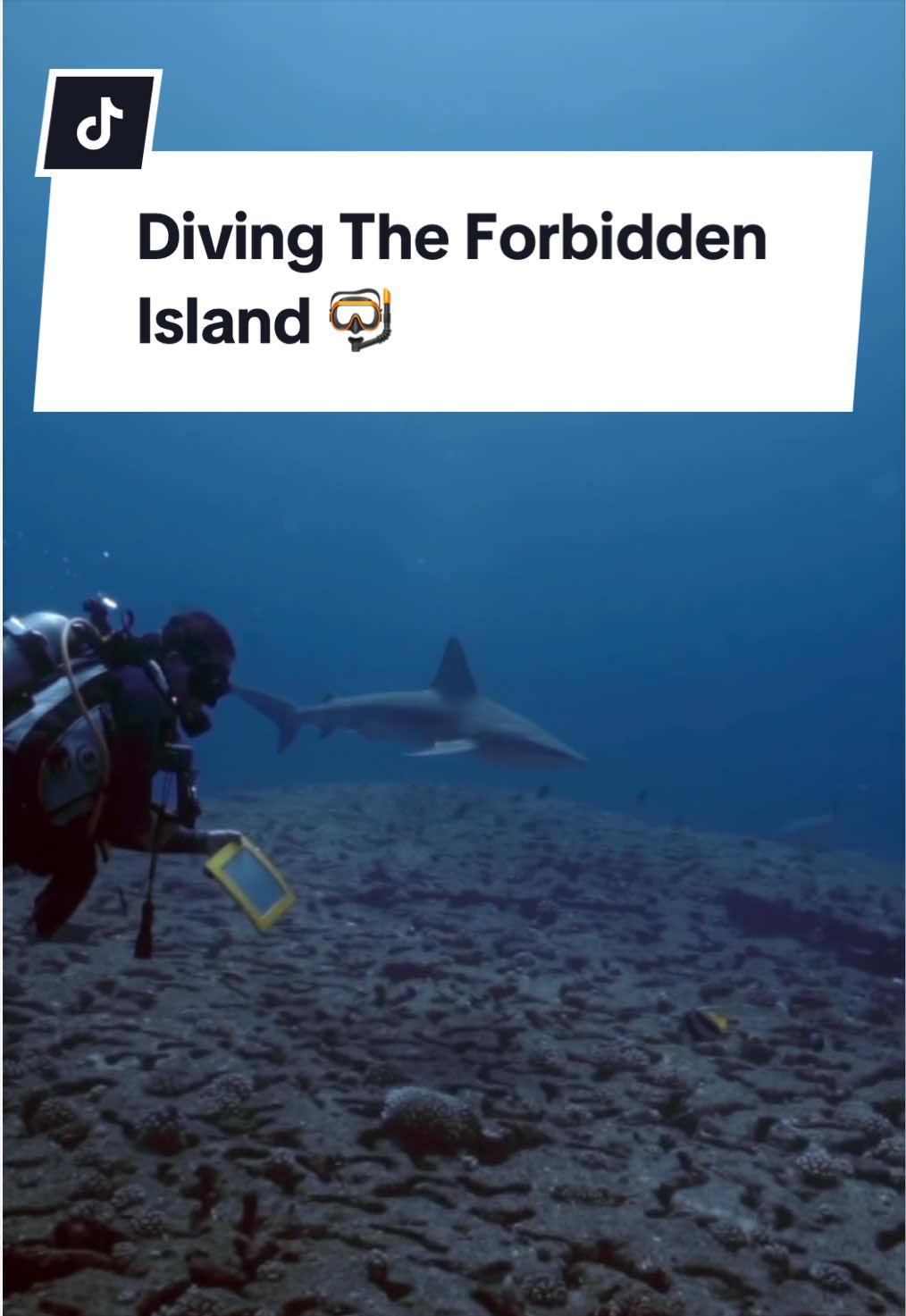 @andriana_marine