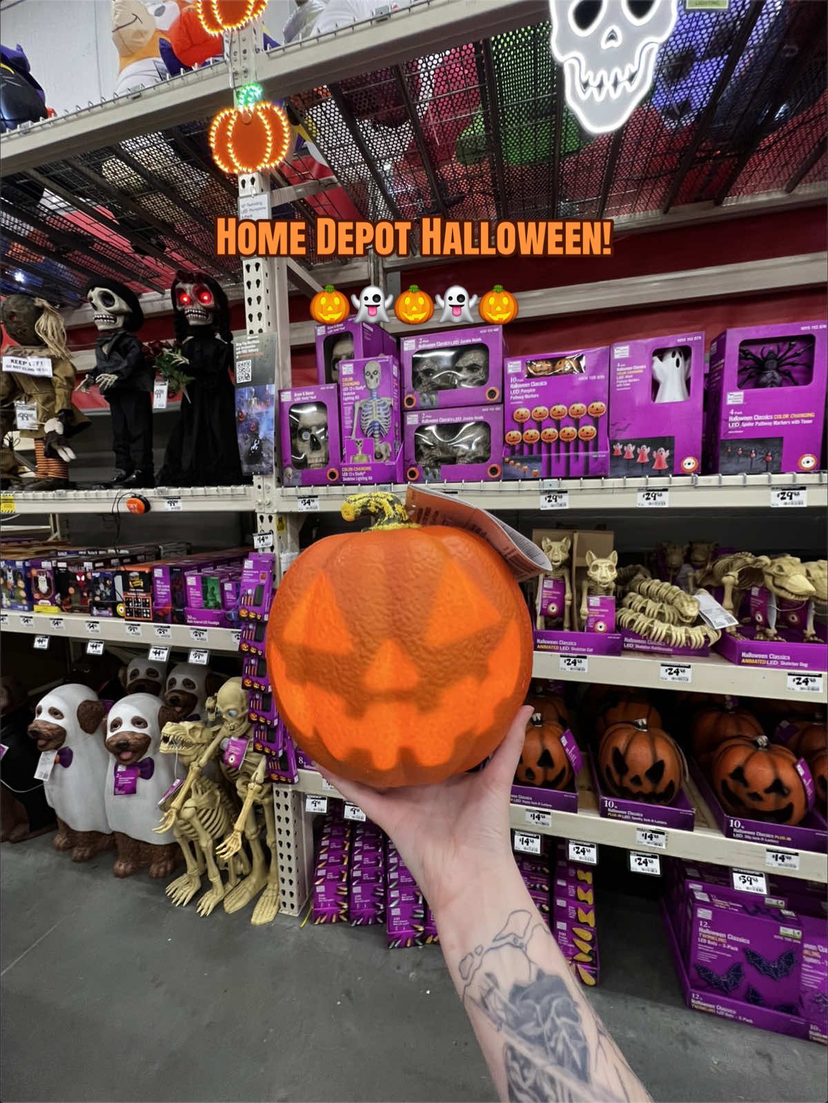 @Spooky Sara🦇🎃