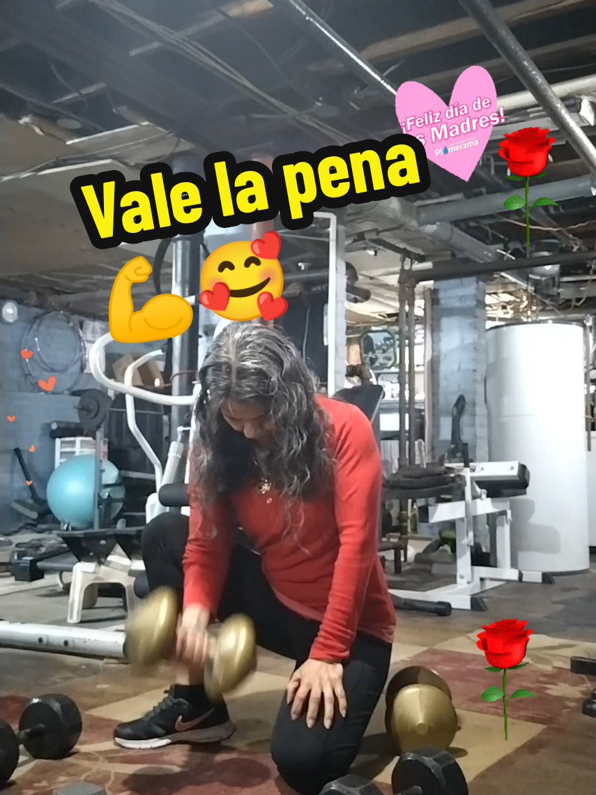 @alifit1