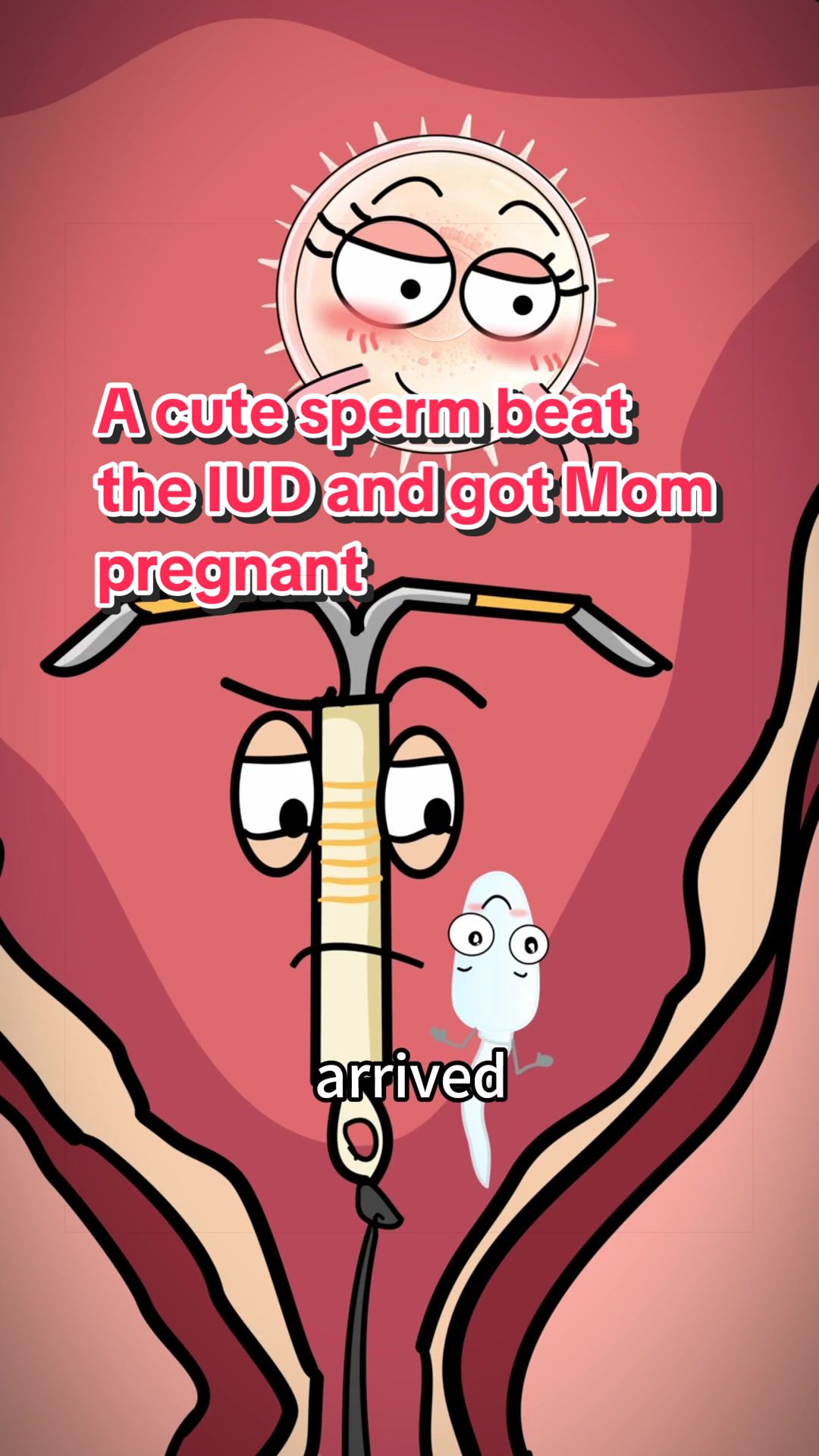 @Funny Animations