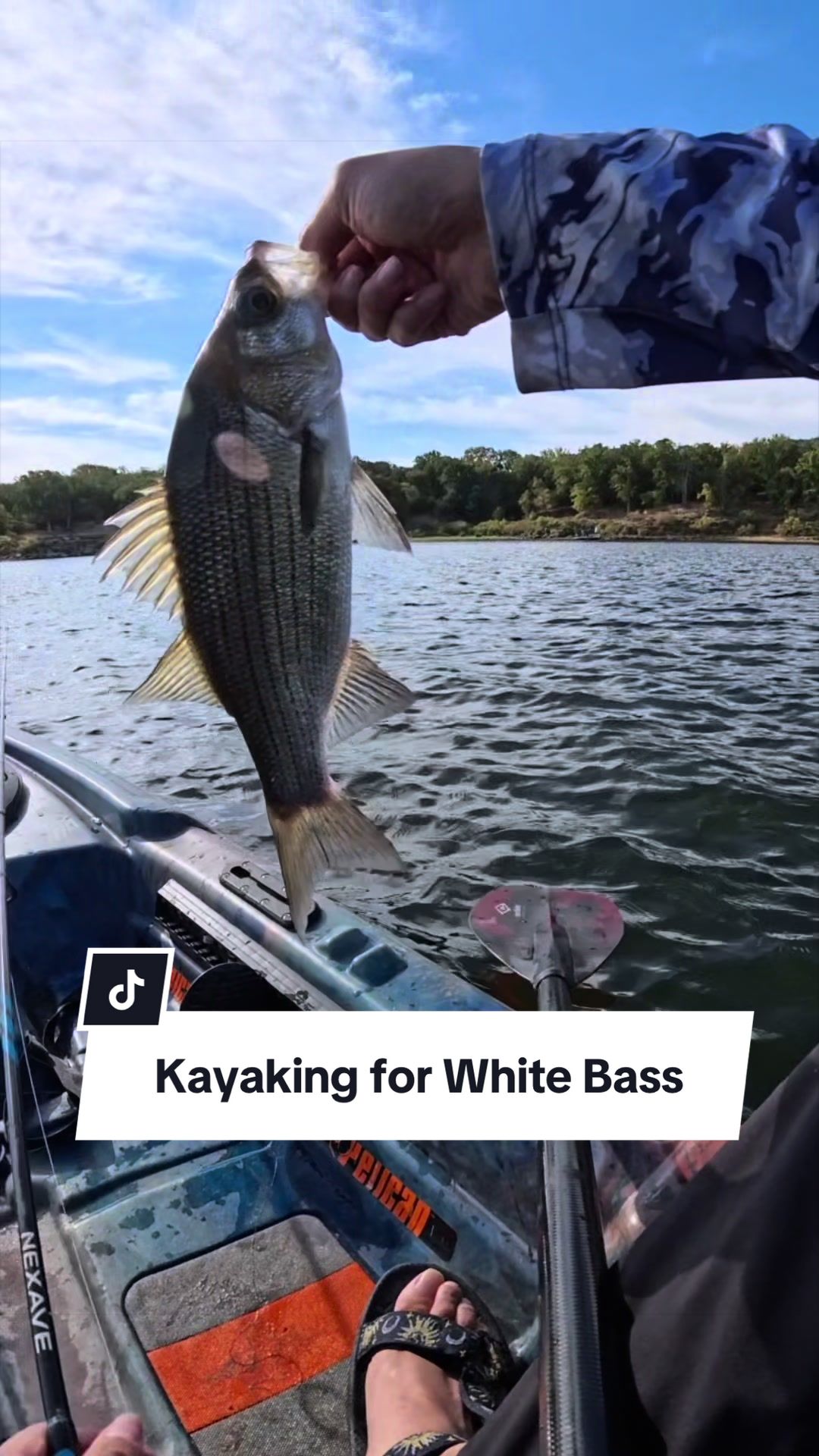 @fishingbri