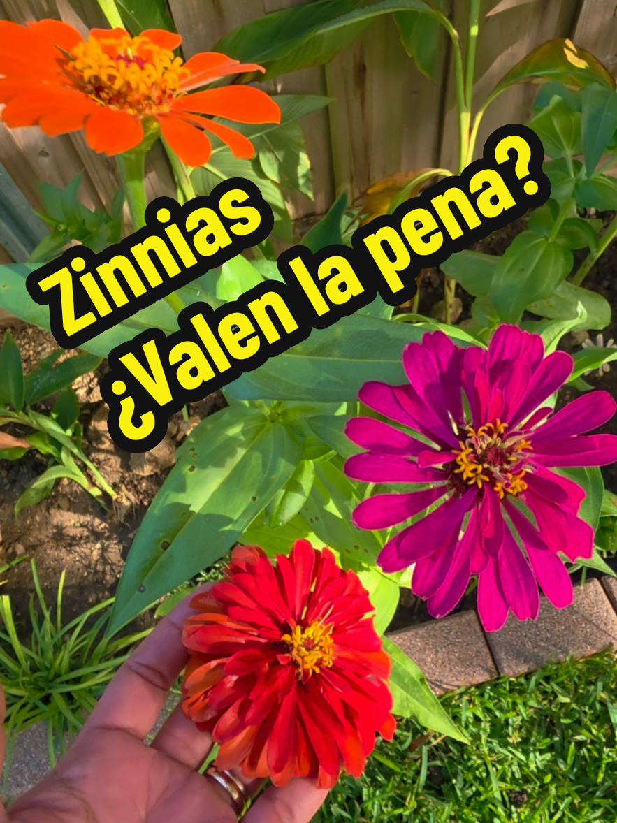 @Mi Rincón Favorito