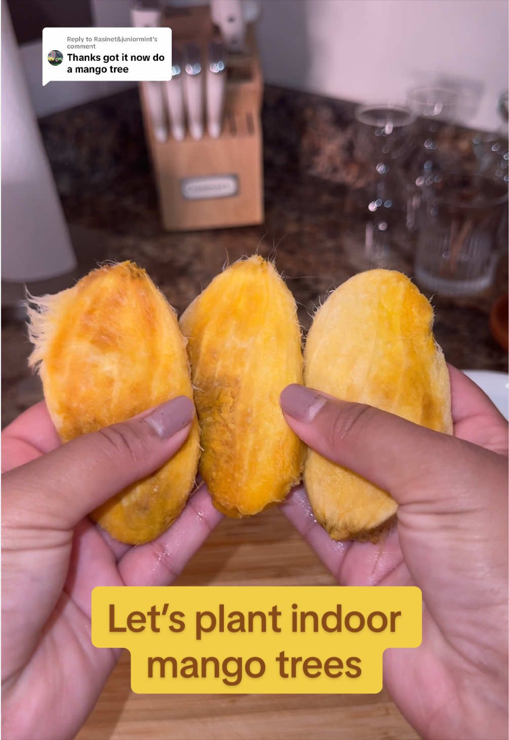 @Niki - Ava’s Mom 🥑🌱