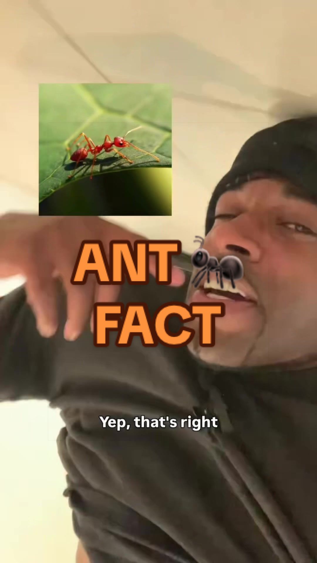 @Headspin Facts