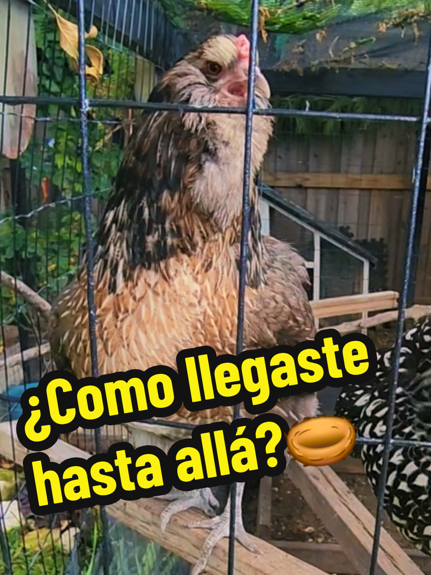 @Mi Rincón Favorito