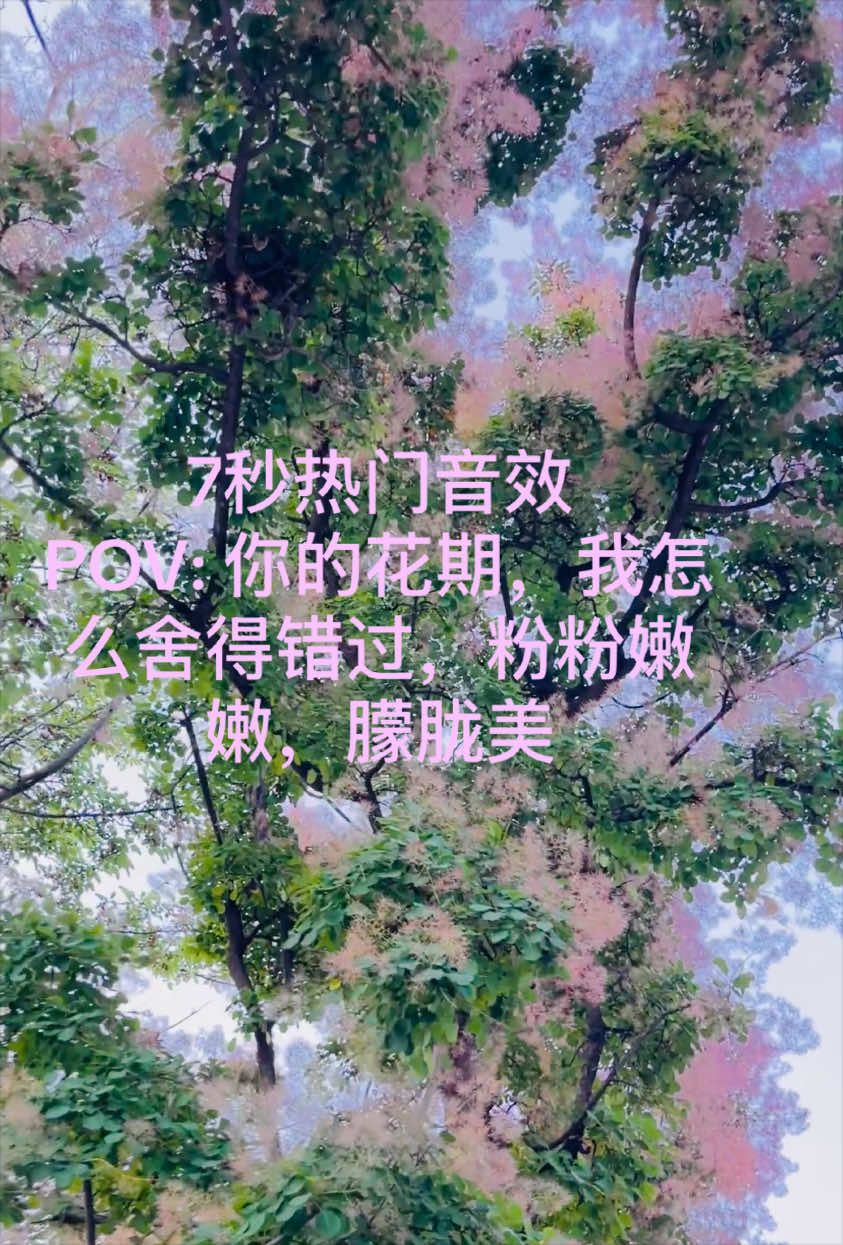@心飞扬xie💕