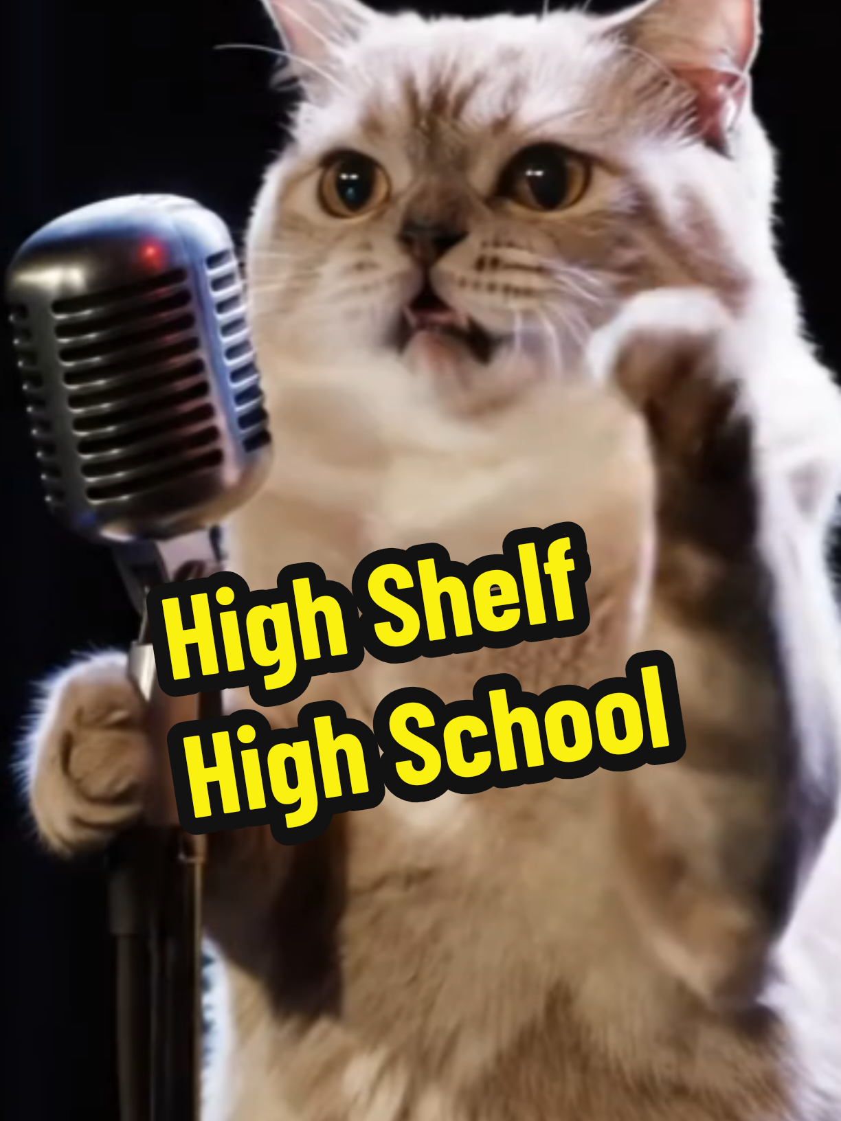@comedyclubcats