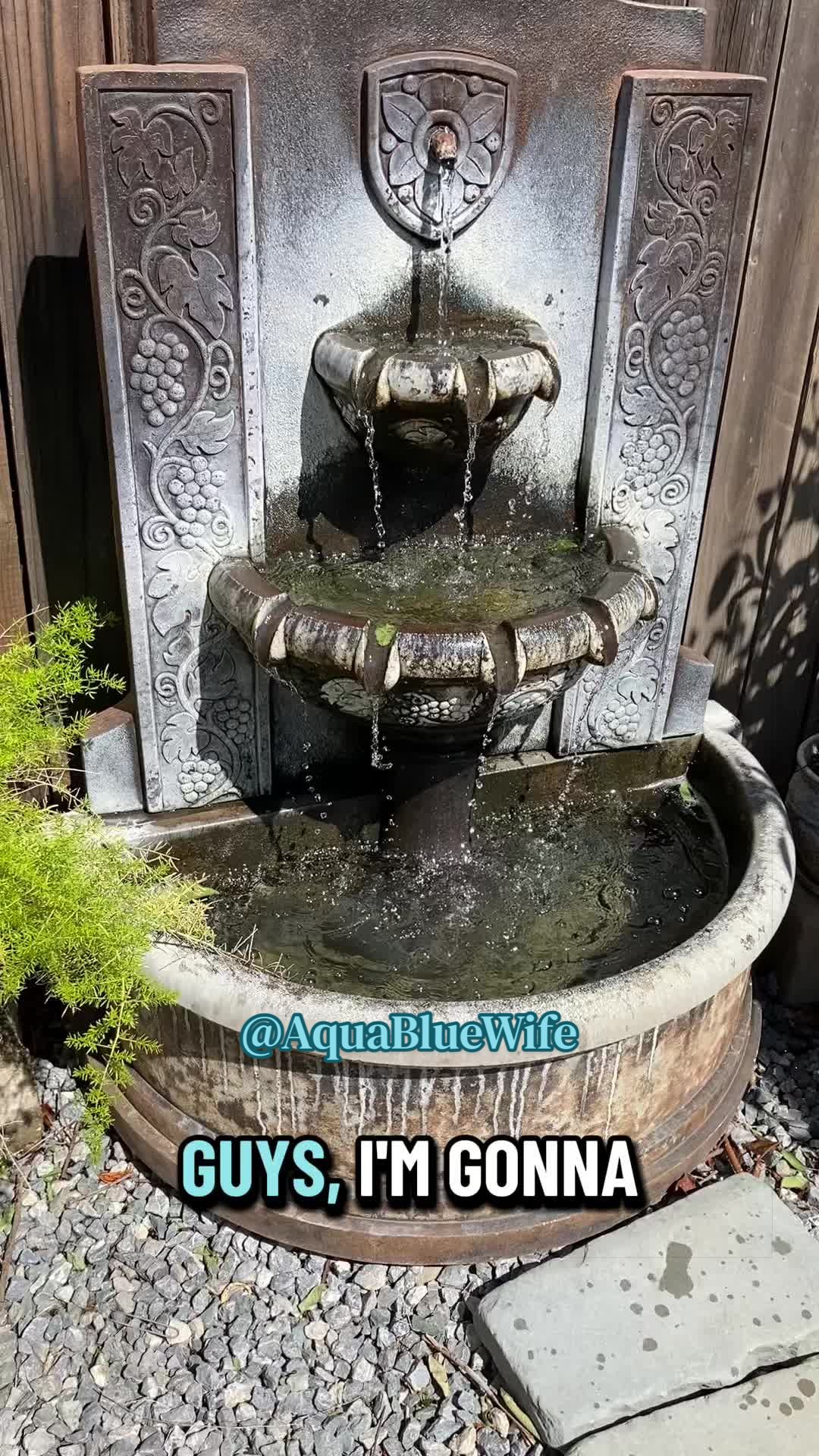 @AquaBlueWife✝️