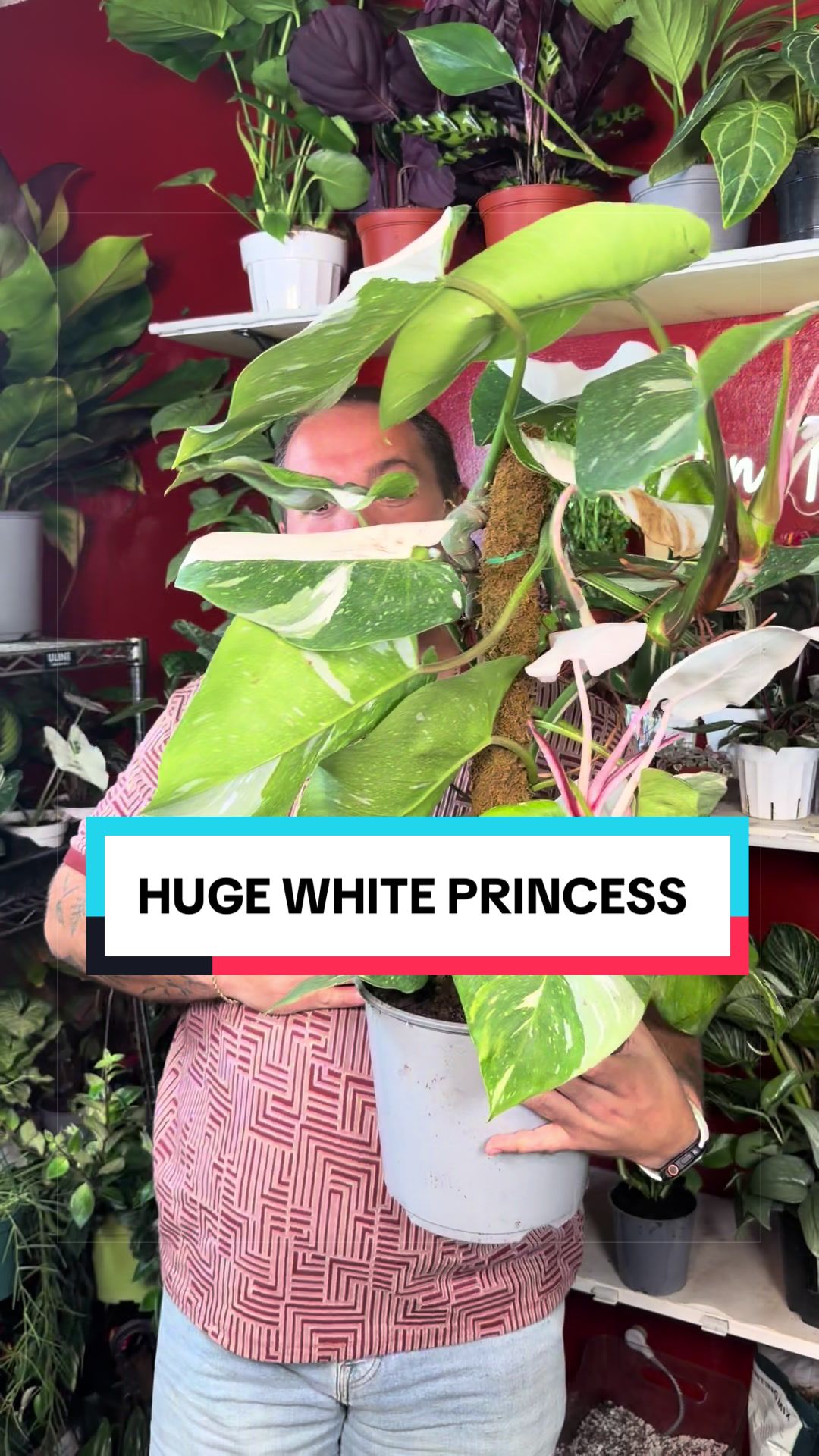 @Brandon The Plant Guy