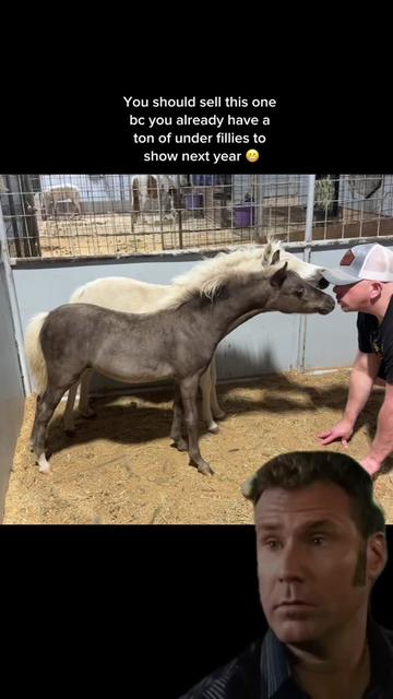 @Dr.Nicole-VetMed