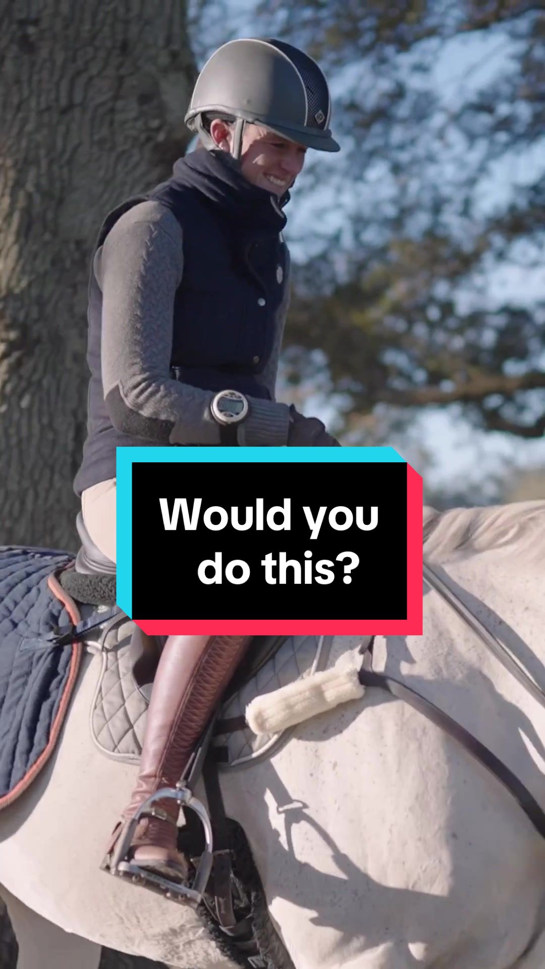 @Fit Equine