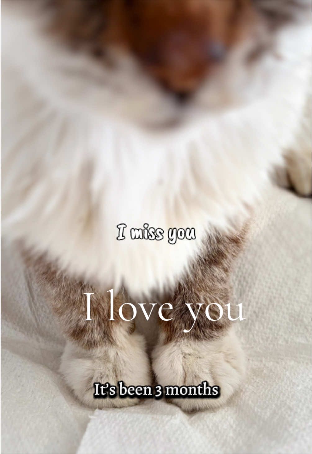 @Kay