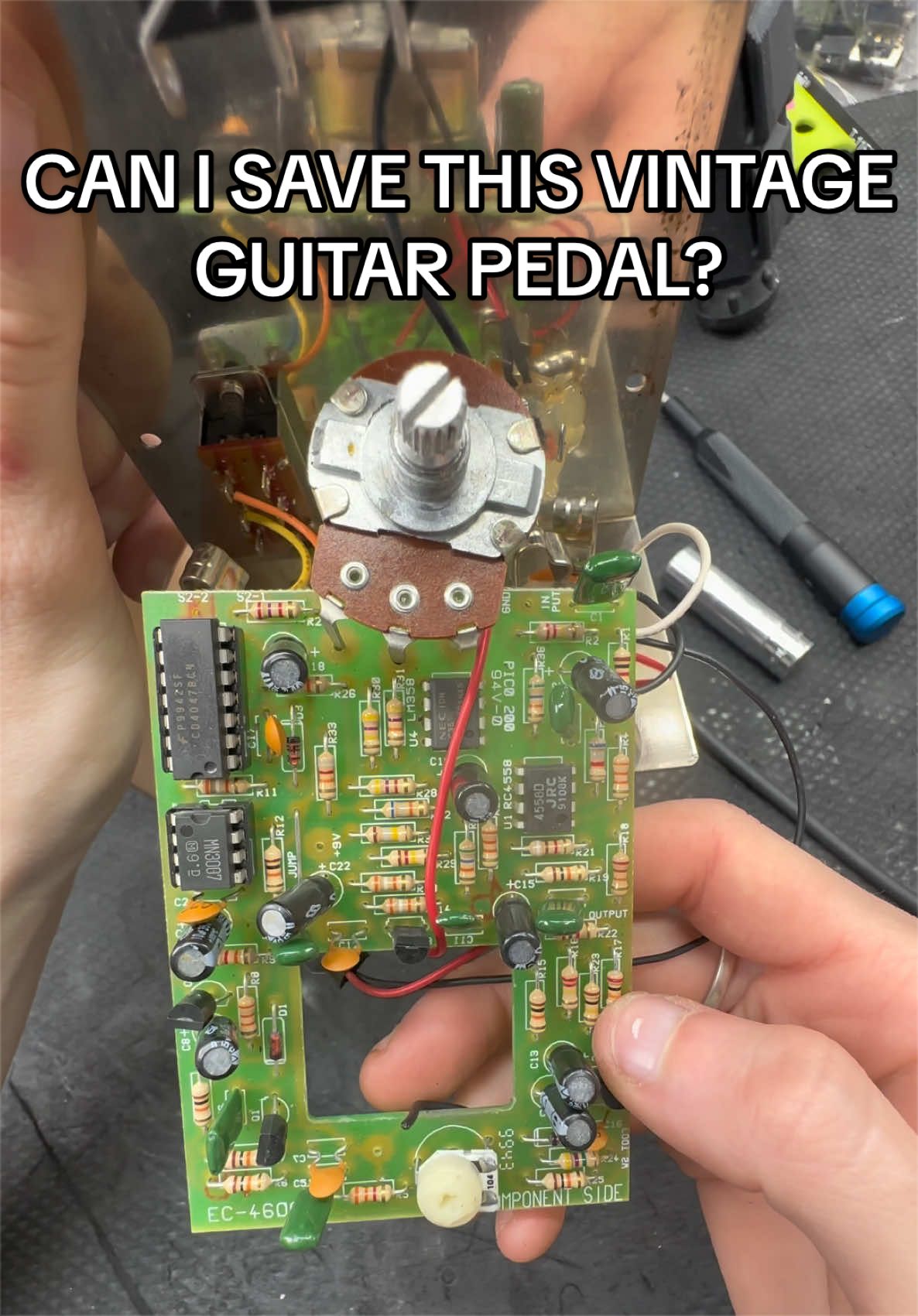 @Miss Shy | Instrument Repair