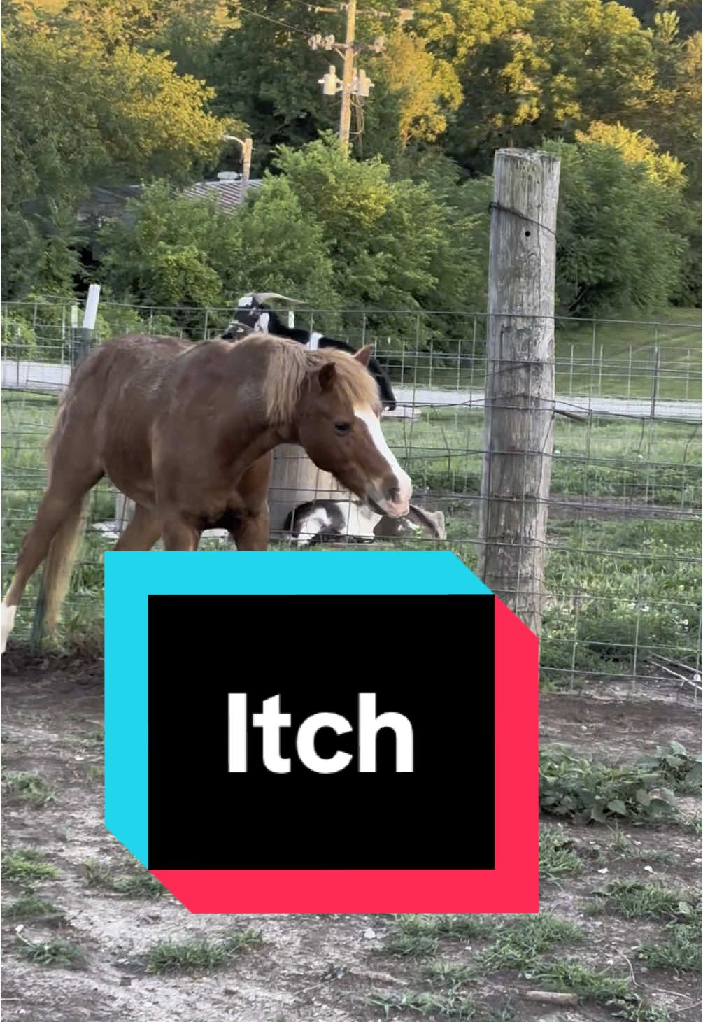 @MM