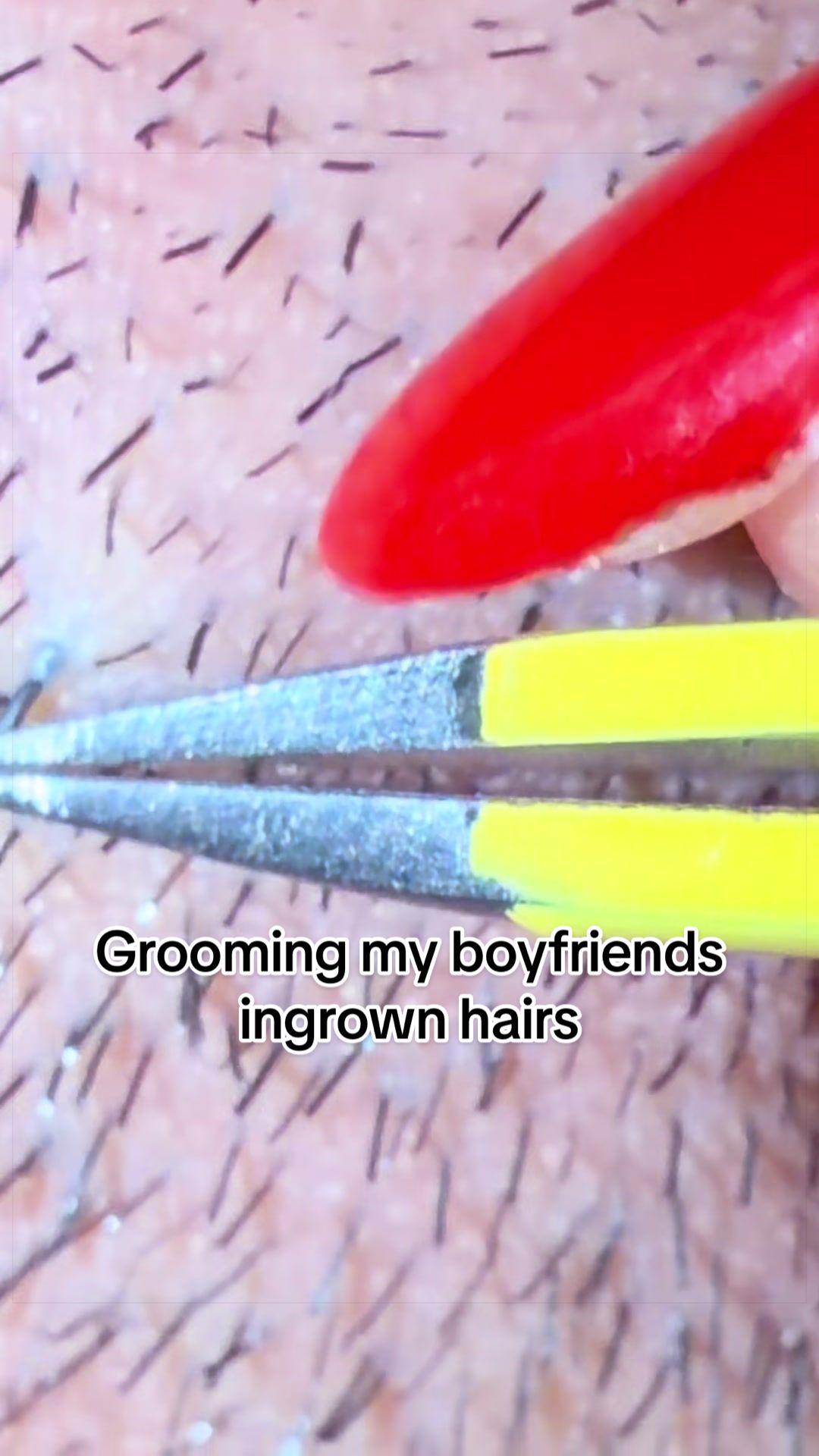 @GroomingMyGrizzly