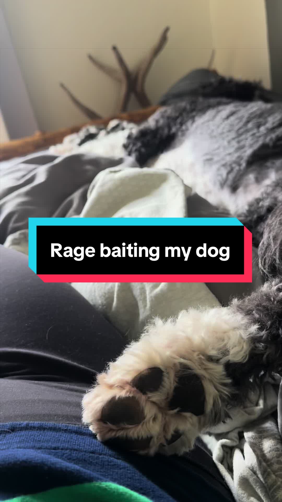 @therealkatiemcmanus