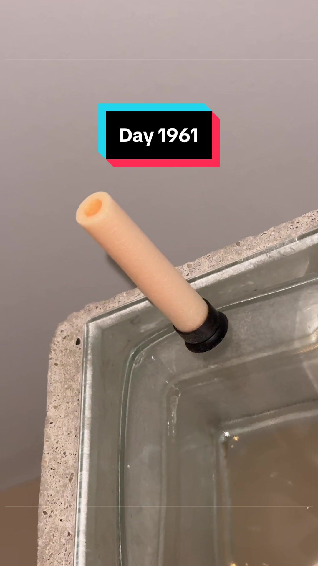 @The Immortal Nerf Dart