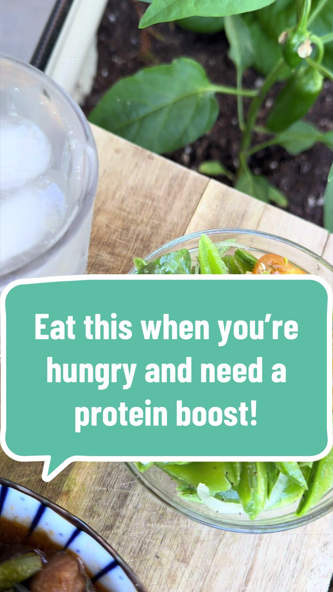 @plantbasedfoodcoach