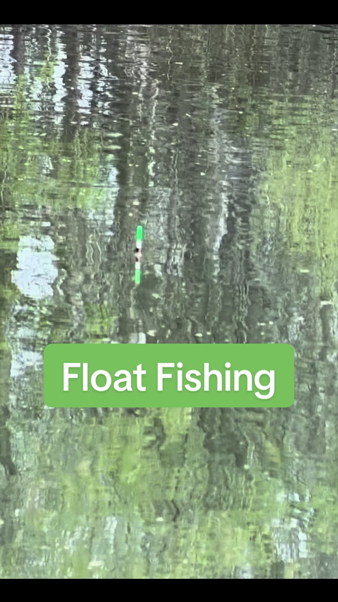 @Dunamis Angling