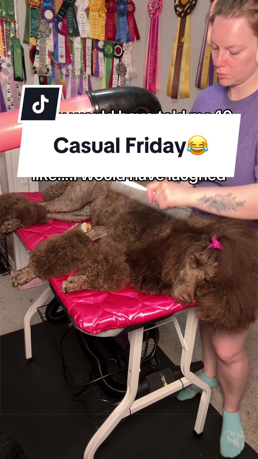 @Maddie, Jovie & Nessie🤍🤎🐩