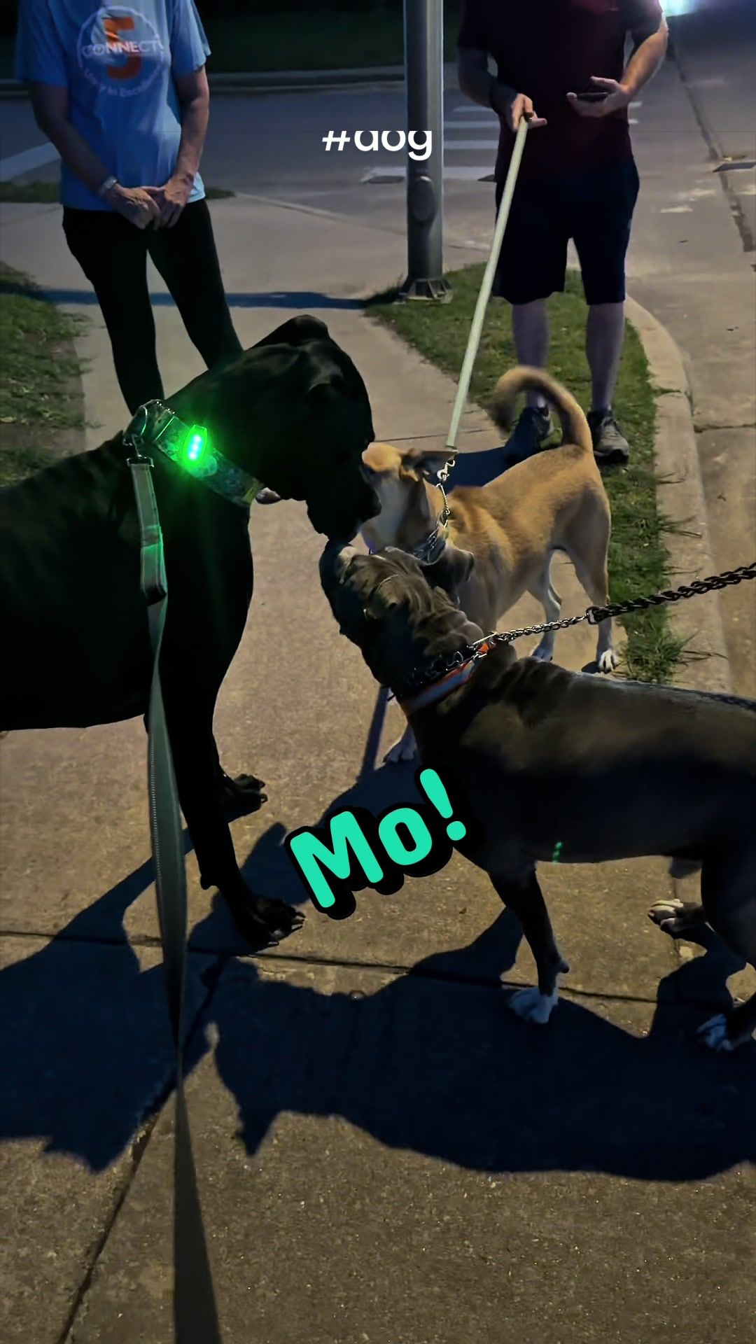 @Mo