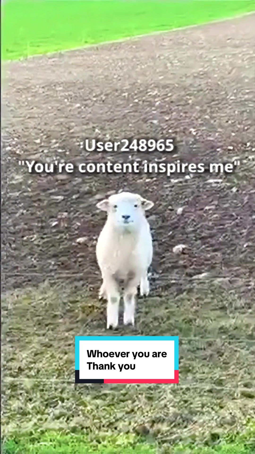 @Kevin Chimilio