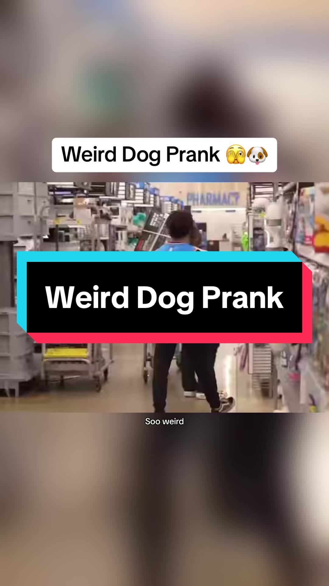 @prankclips.co
