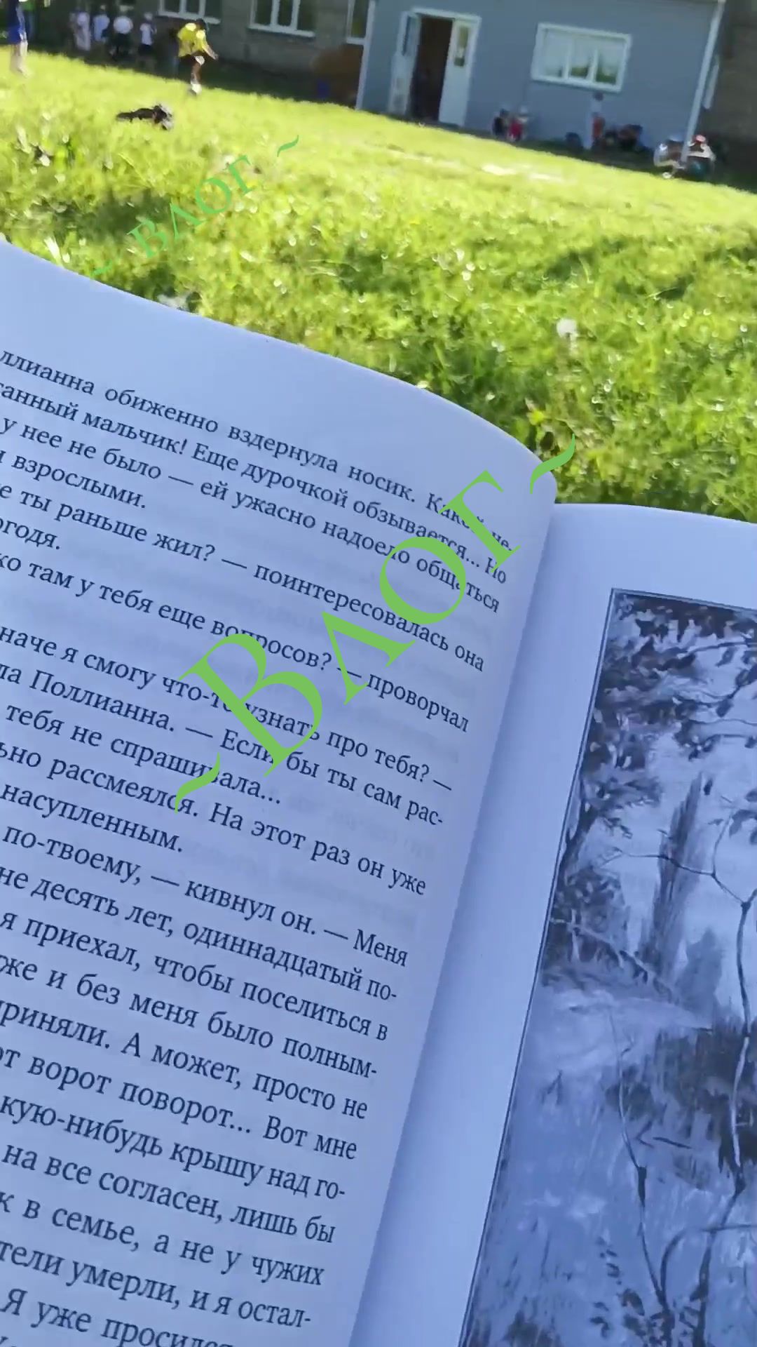 @🌿𝓨𝓾𝓴𝓲_𝓭𝓸𝓰🌿