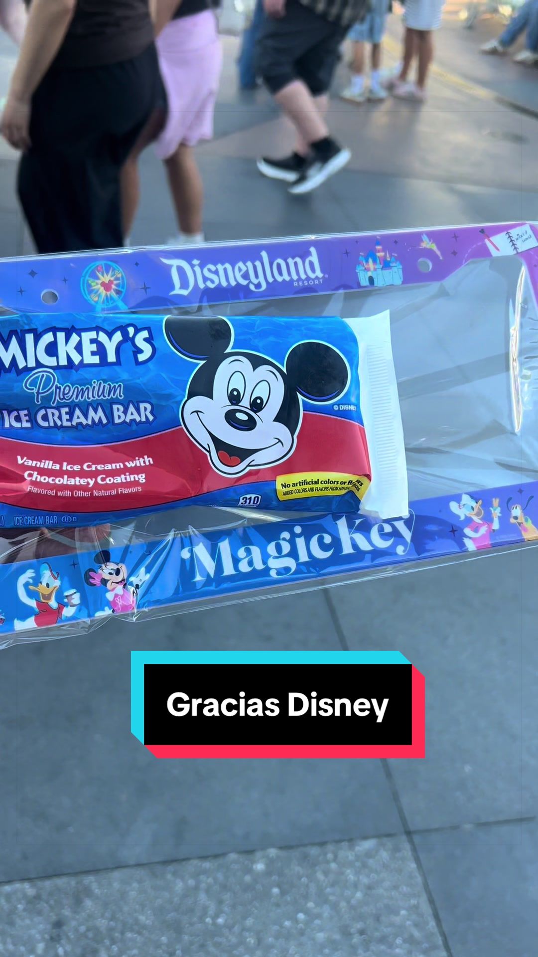 @En Disneylandia