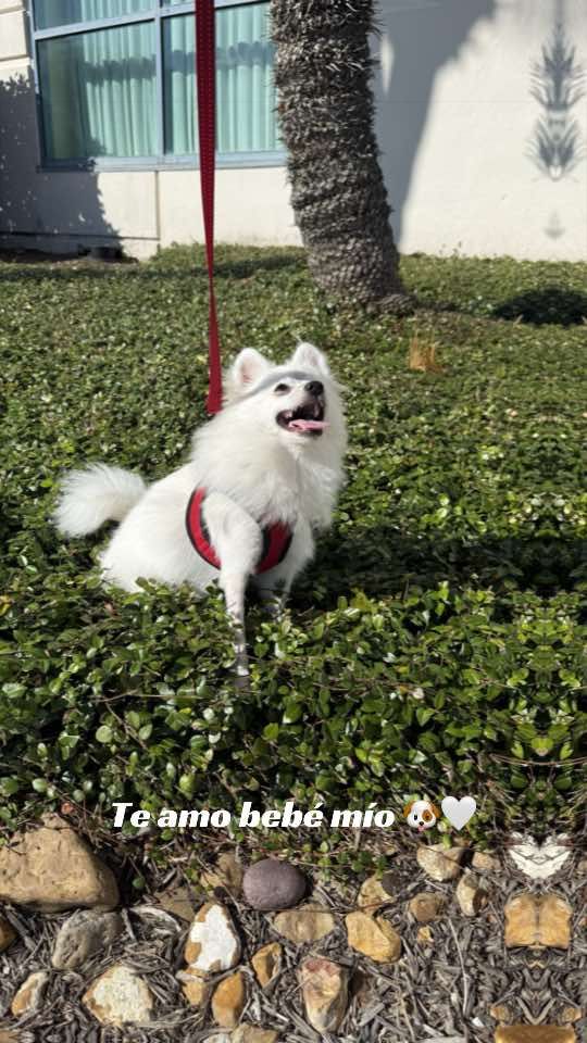 @naticarvajal0119