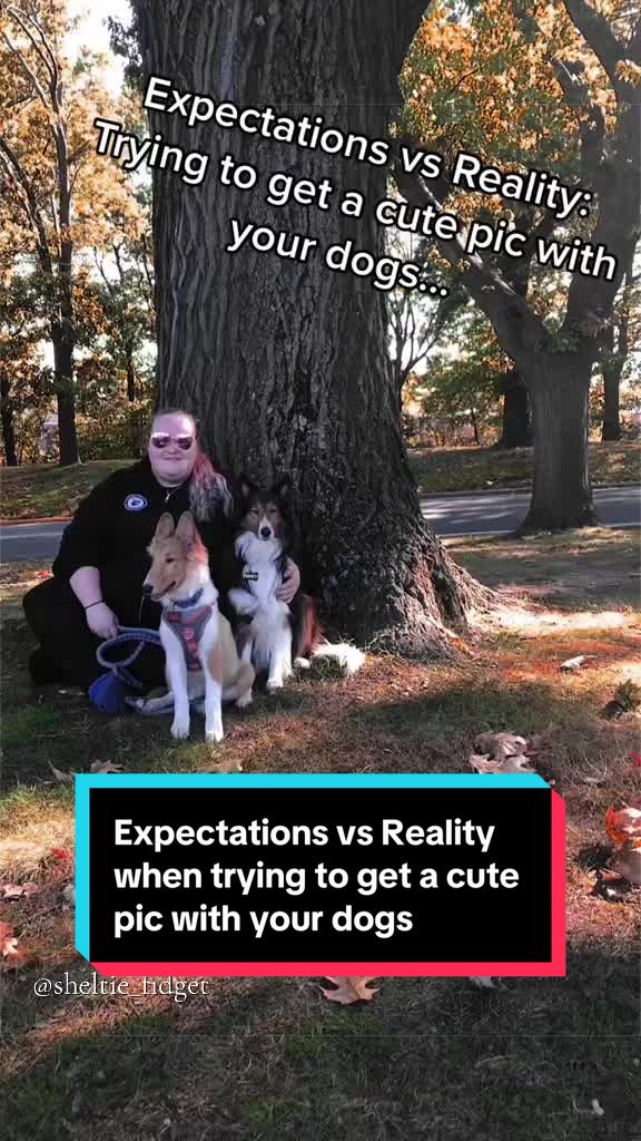 @Dakota & Pups